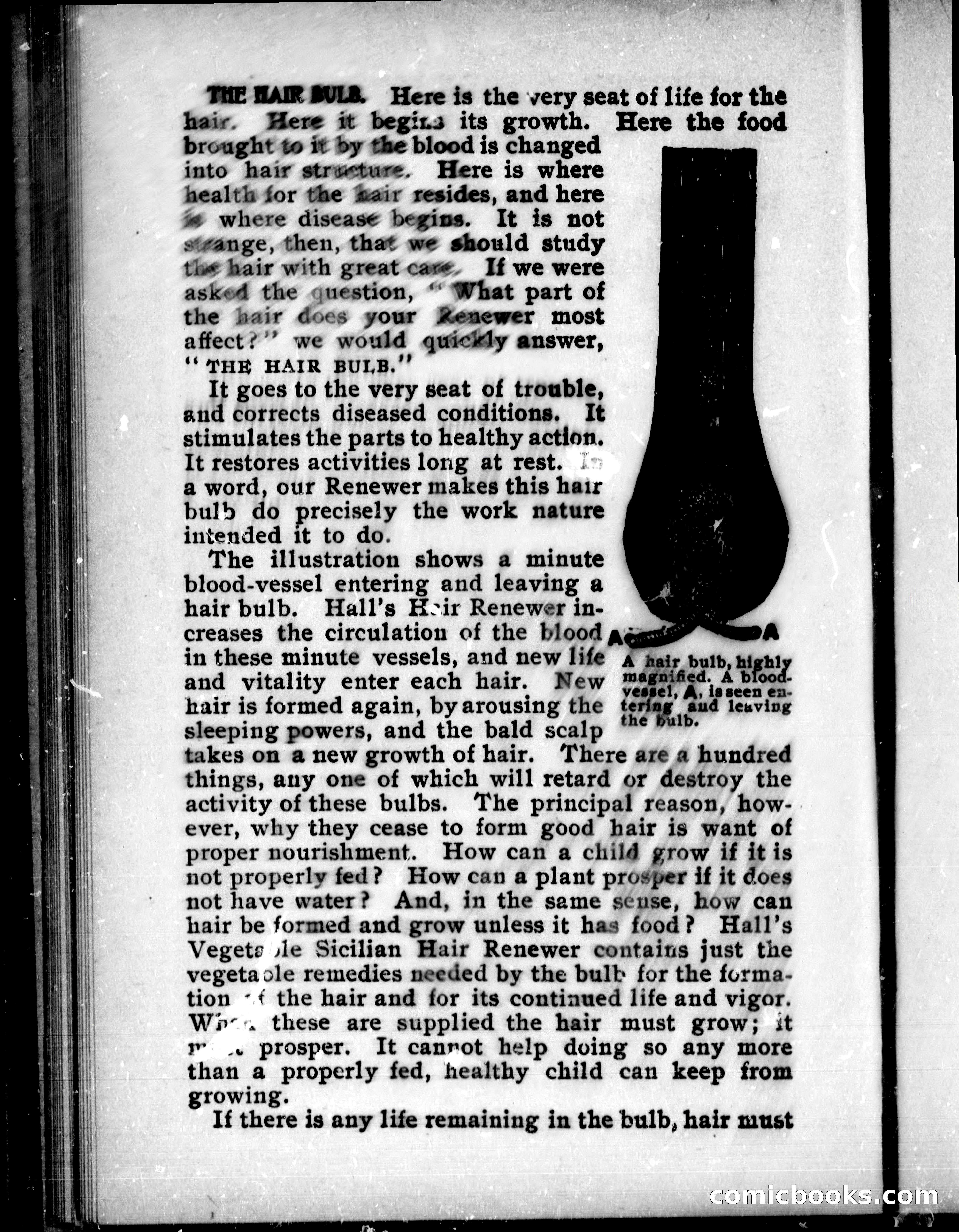 The Mate of the Vancouver — page 281 of 302