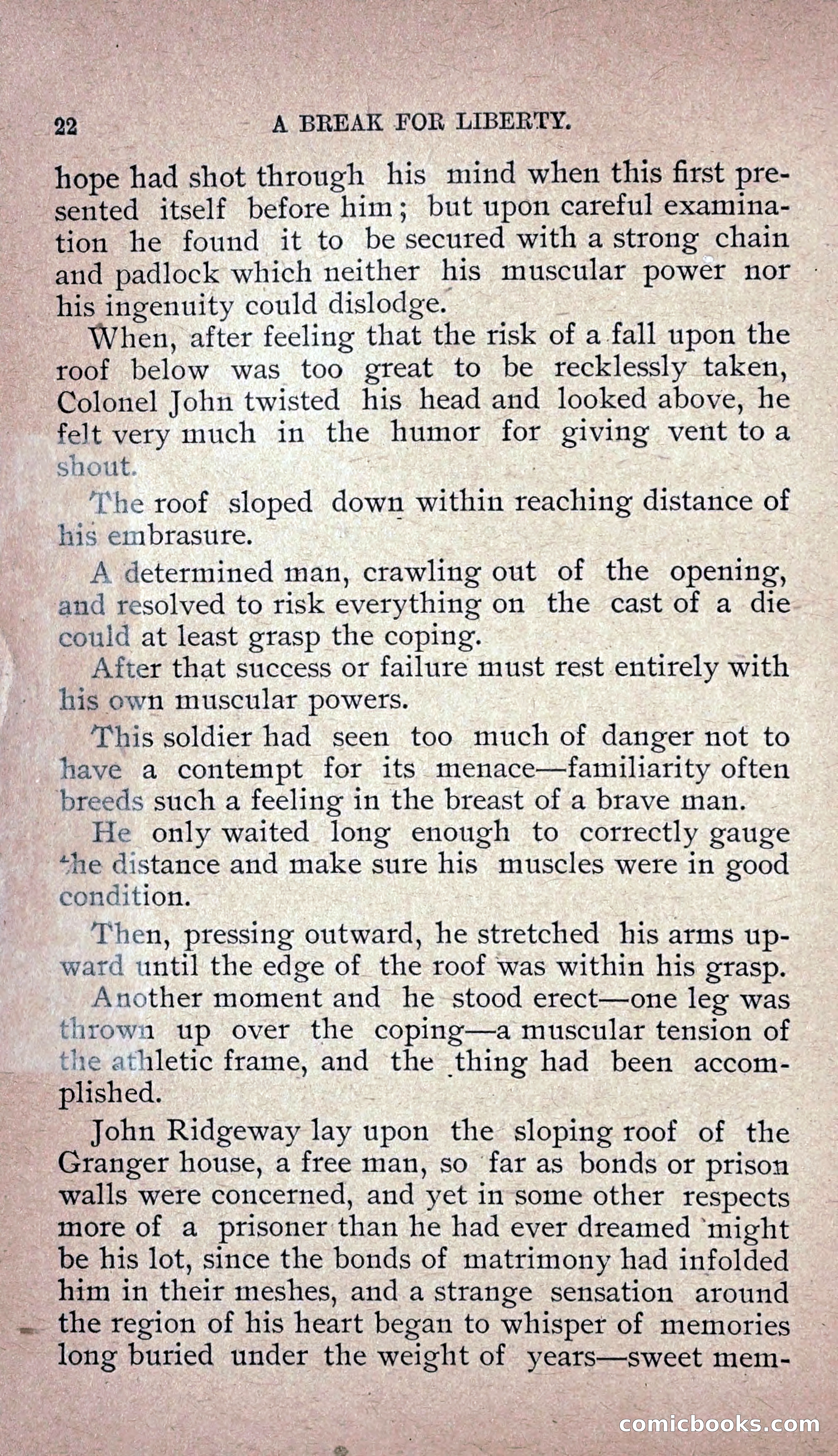 The Colonel's Wife — page 29 of 206