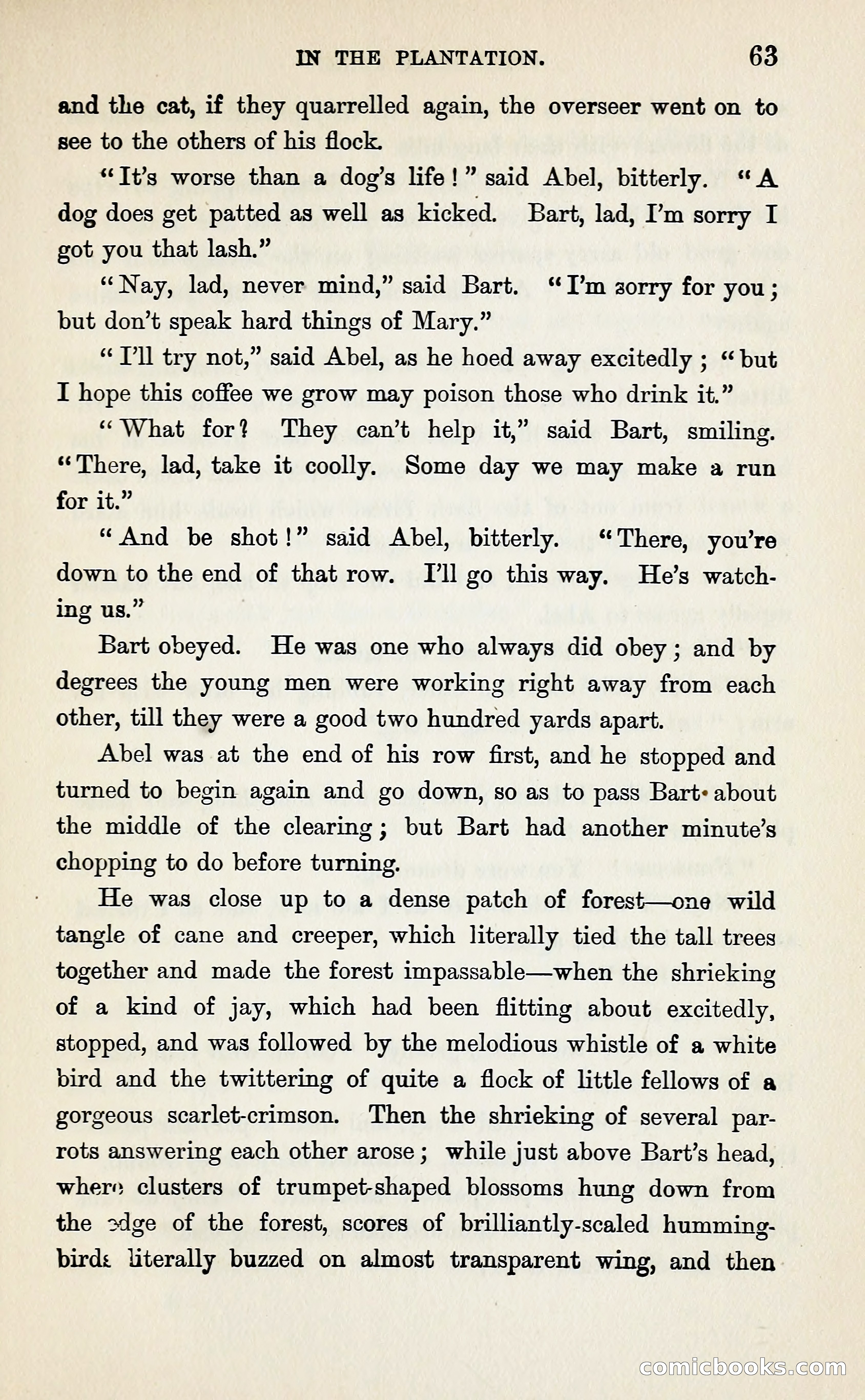 Commodore Junk — page 70 of 365