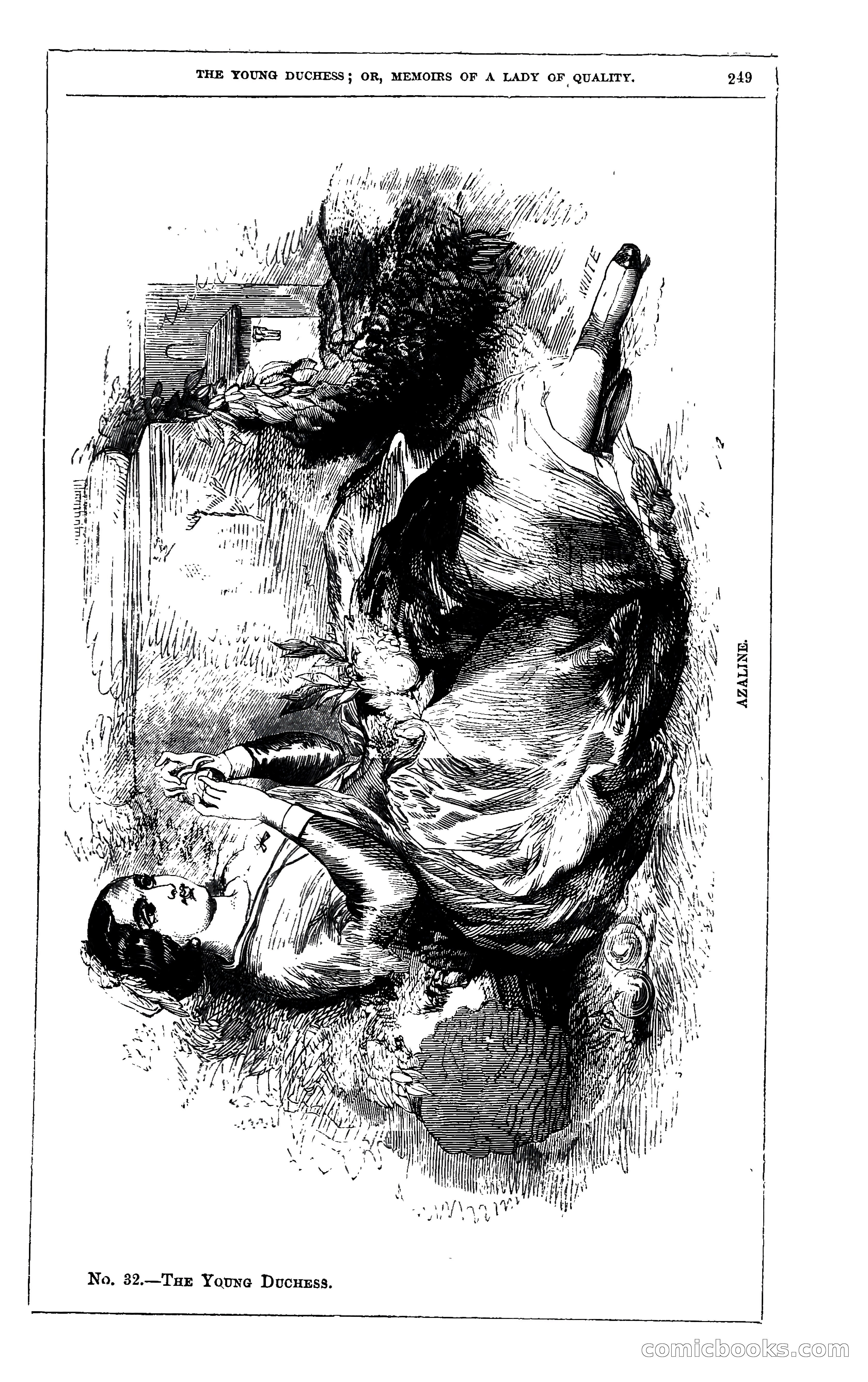 The Young Duchess; or, Memoirs of a Lady of Quality — page 263 of 400