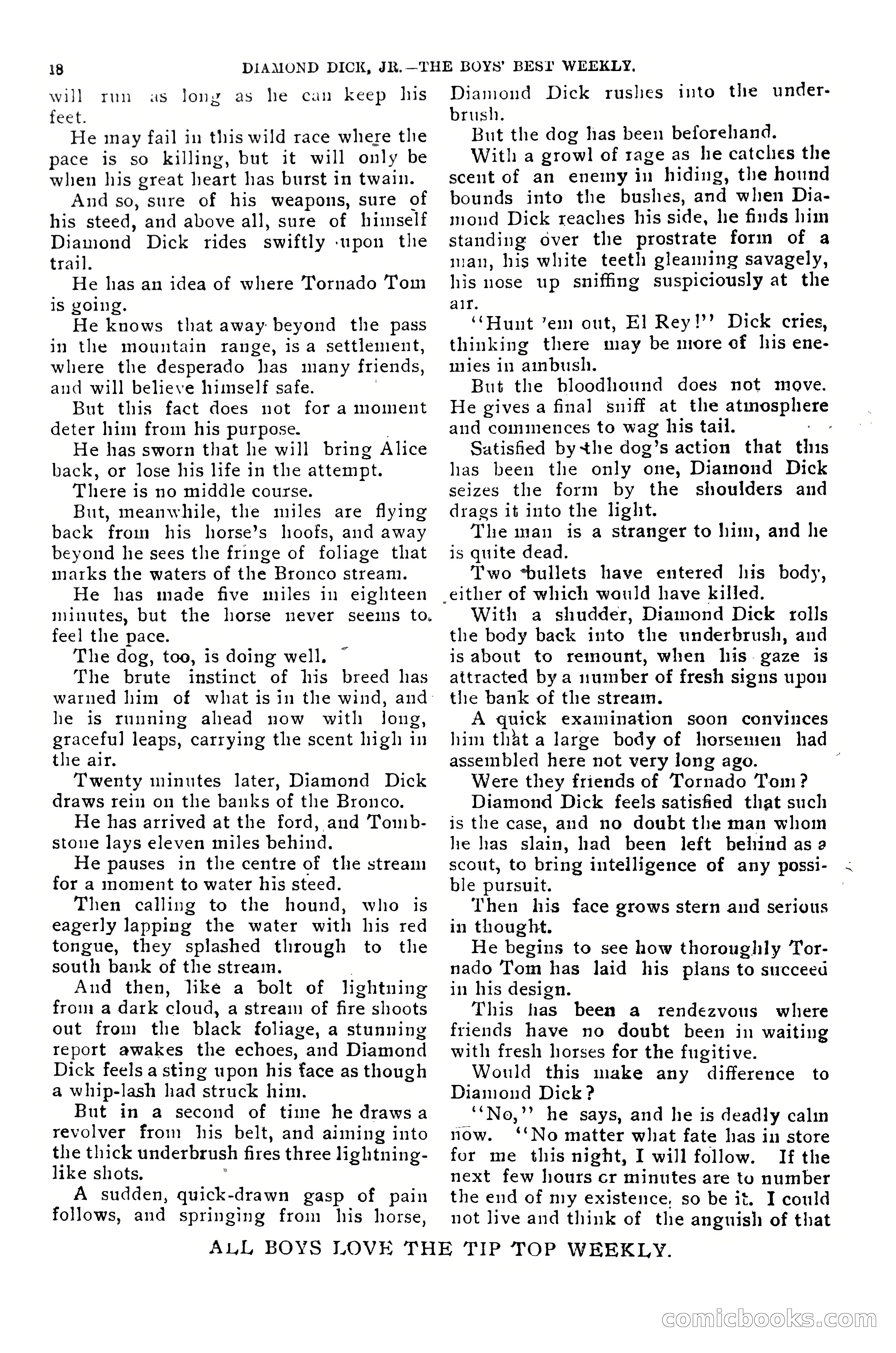 Dashing Diamond Dick, or, The Tigers of Tombstone — page 22 of 40
