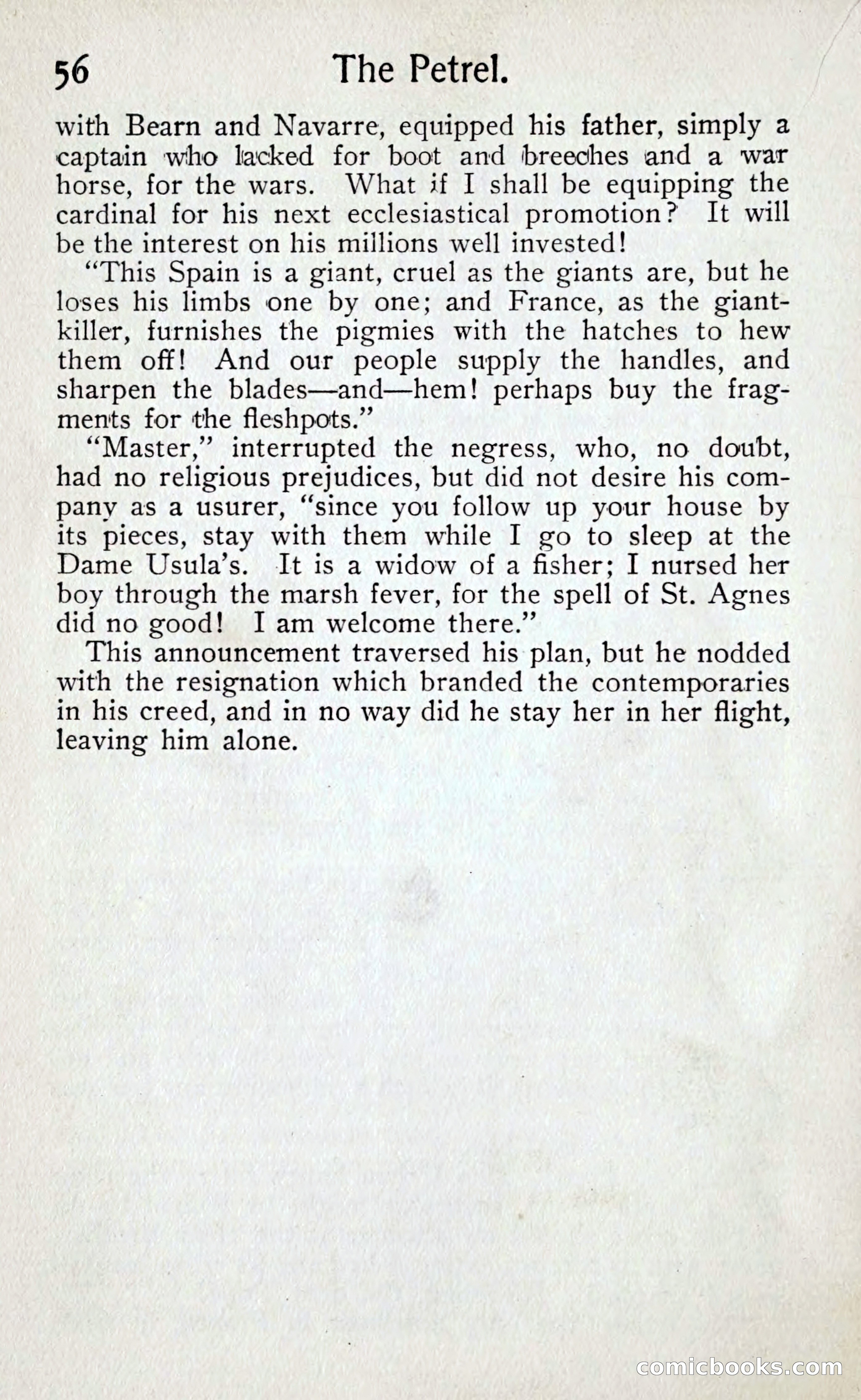 D'Artagnan, the King Maker — page 65 of 324