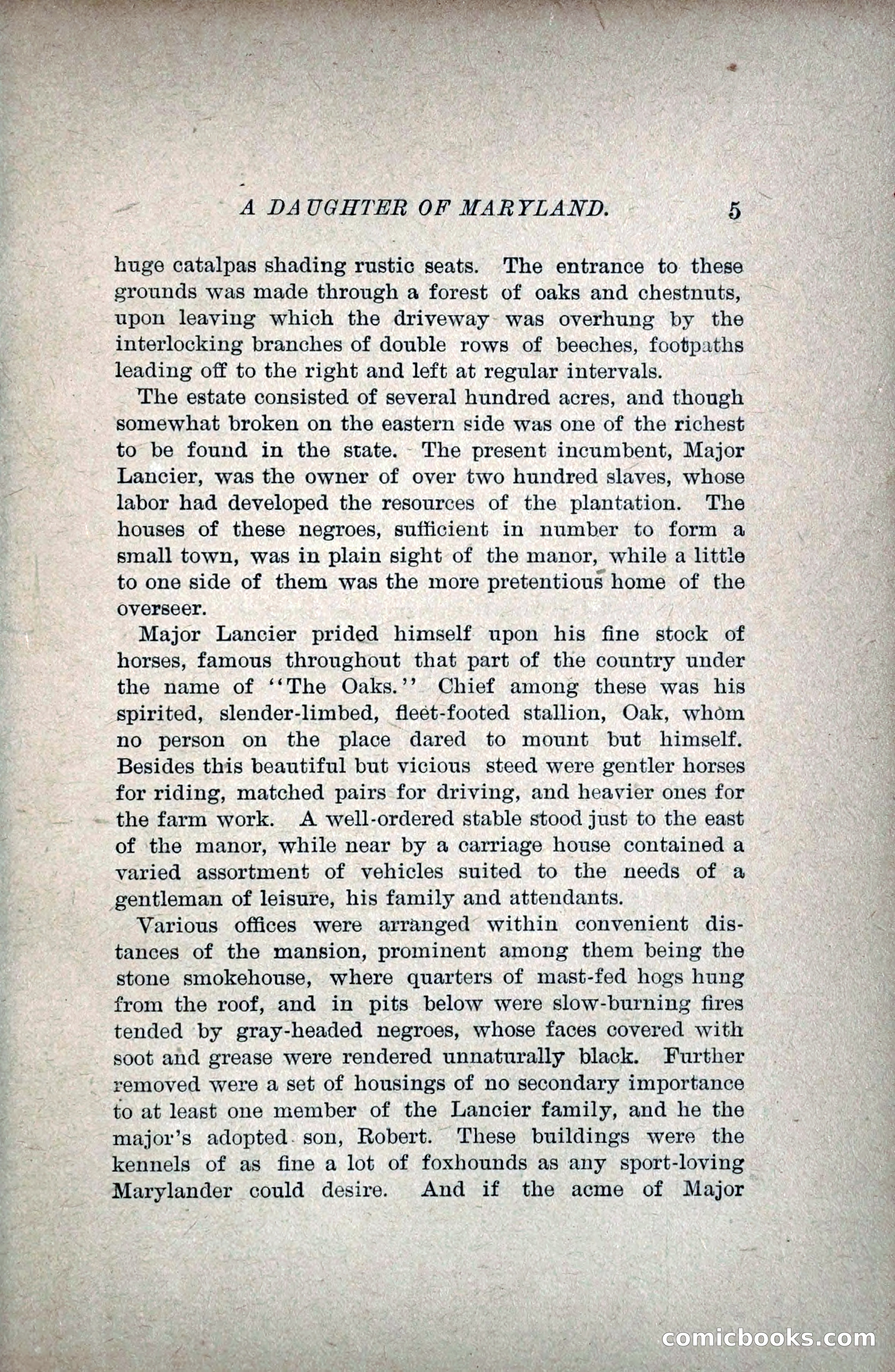 A Daughter of Maryland — page 20 of 215