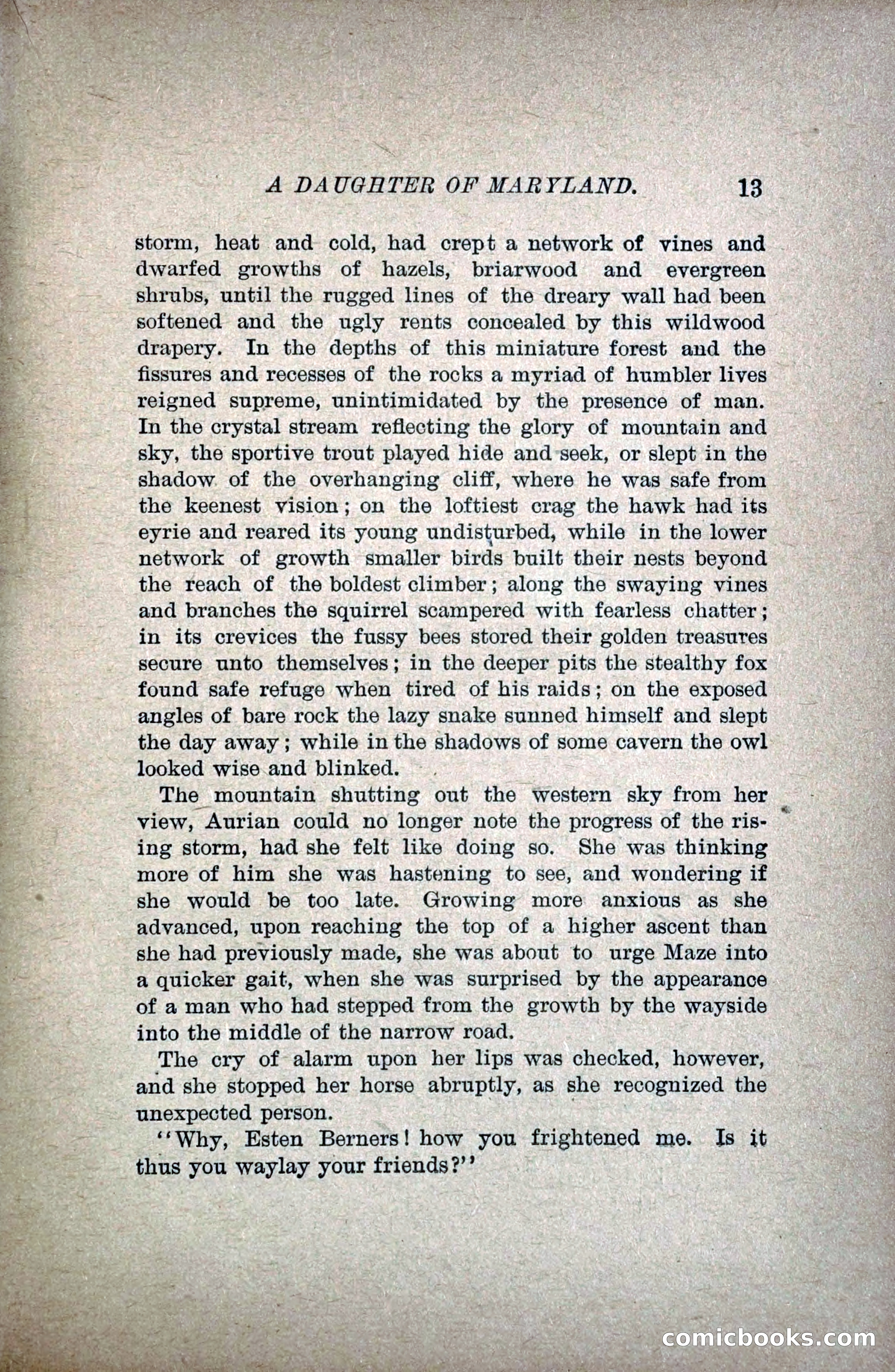 A Daughter of Maryland — page 28 of 215