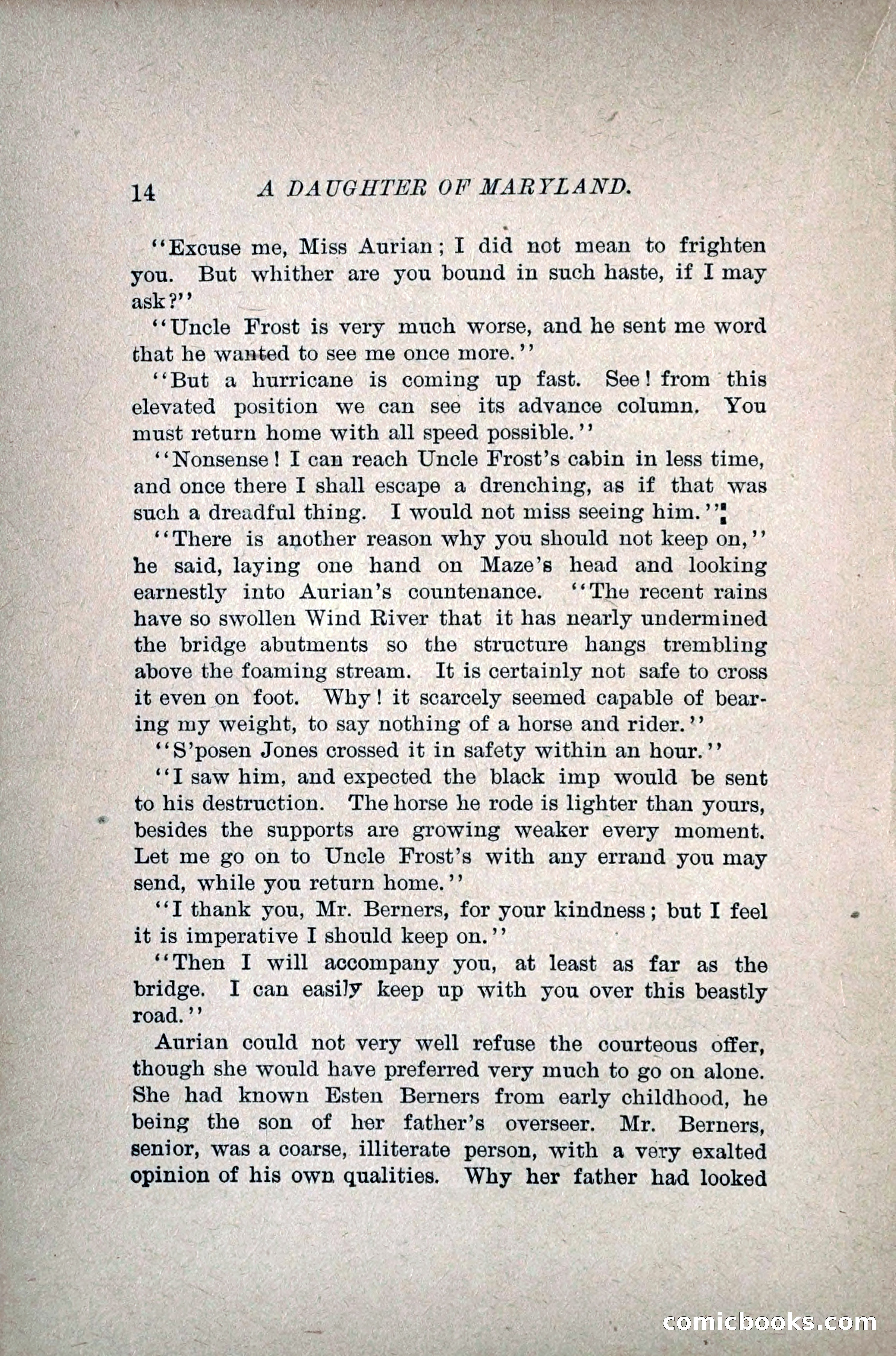A Daughter of Maryland — page 29 of 215