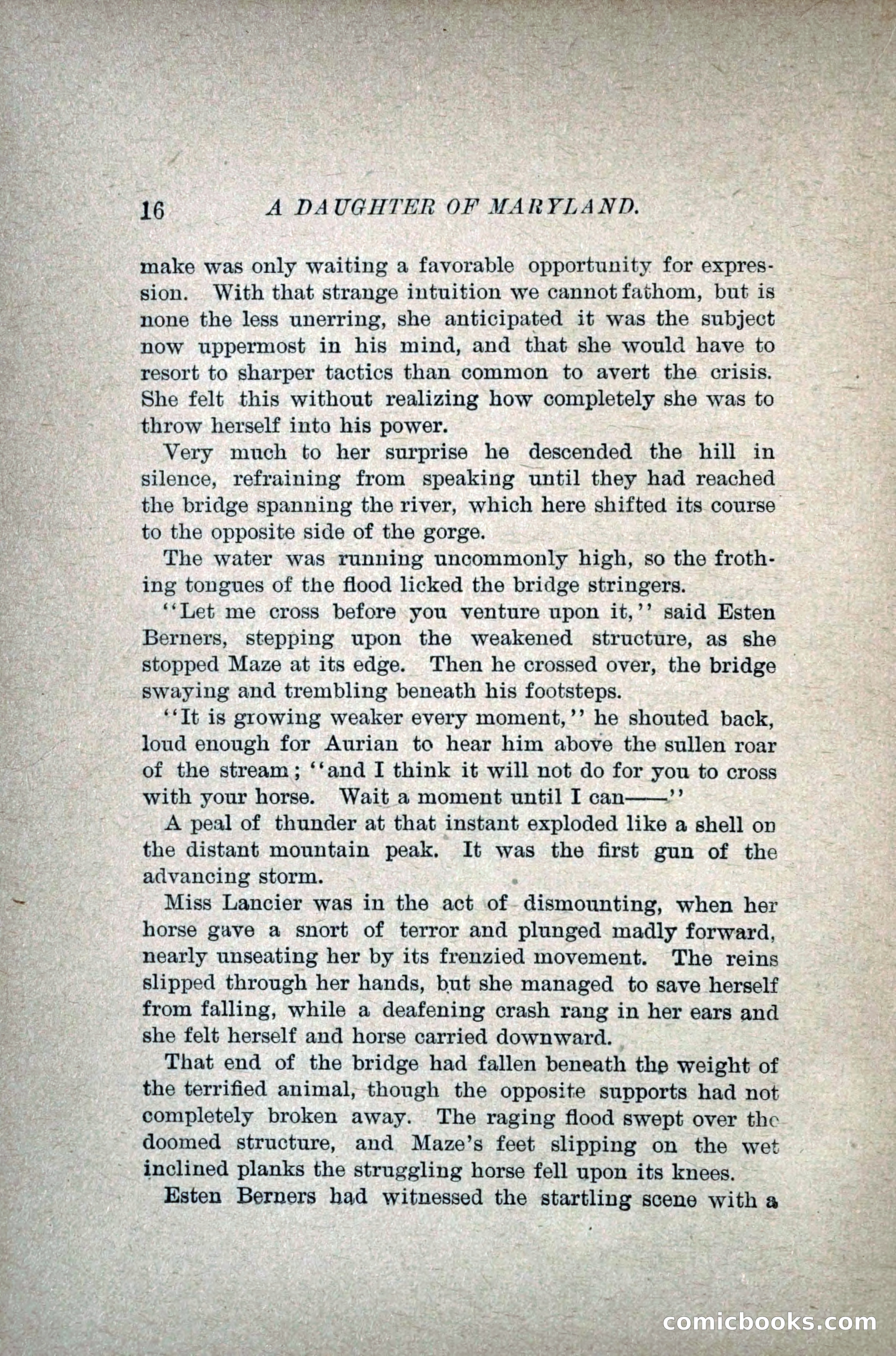 A Daughter of Maryland — page 31 of 215