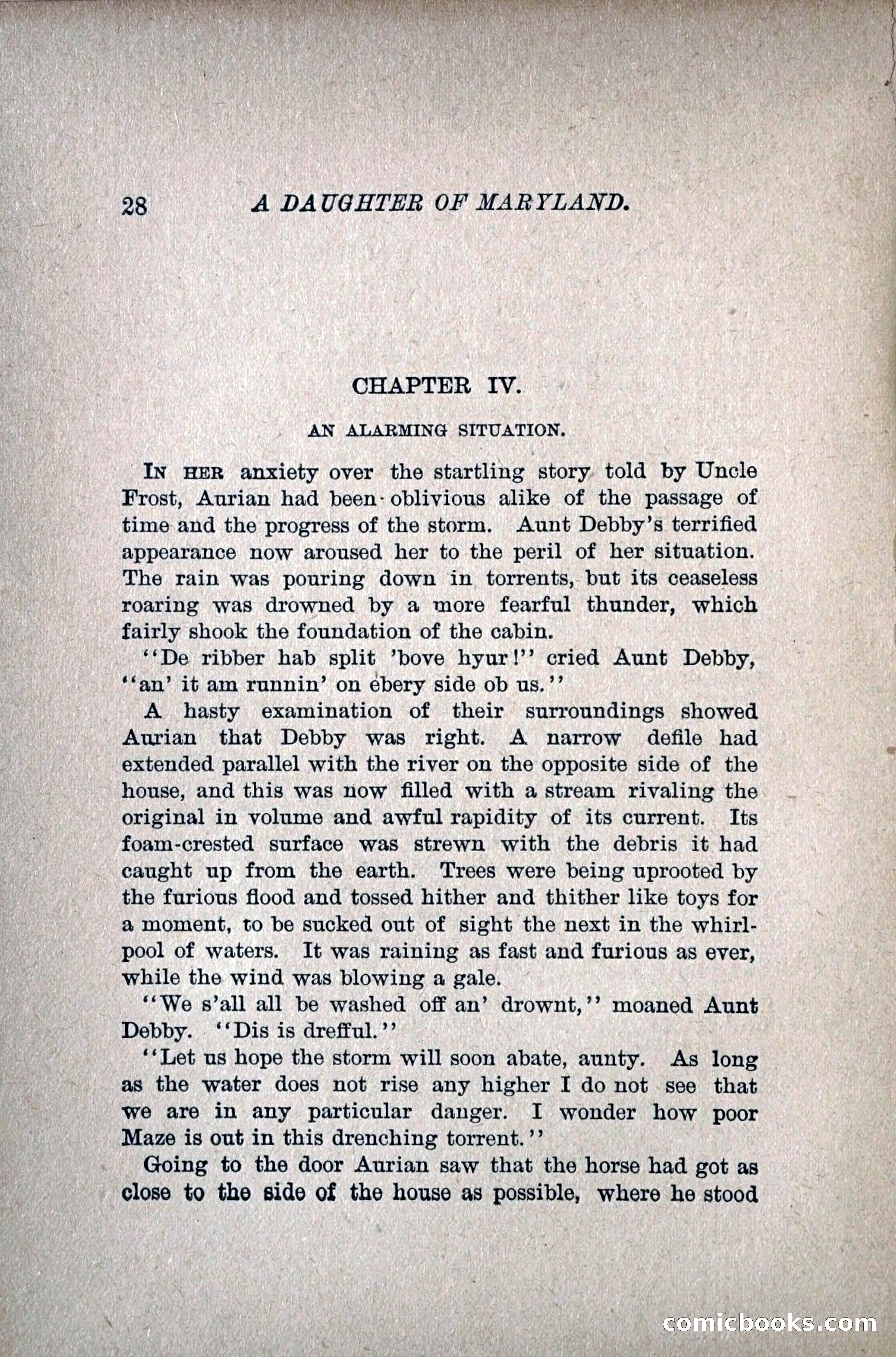 A Daughter of Maryland — page 43 of 215