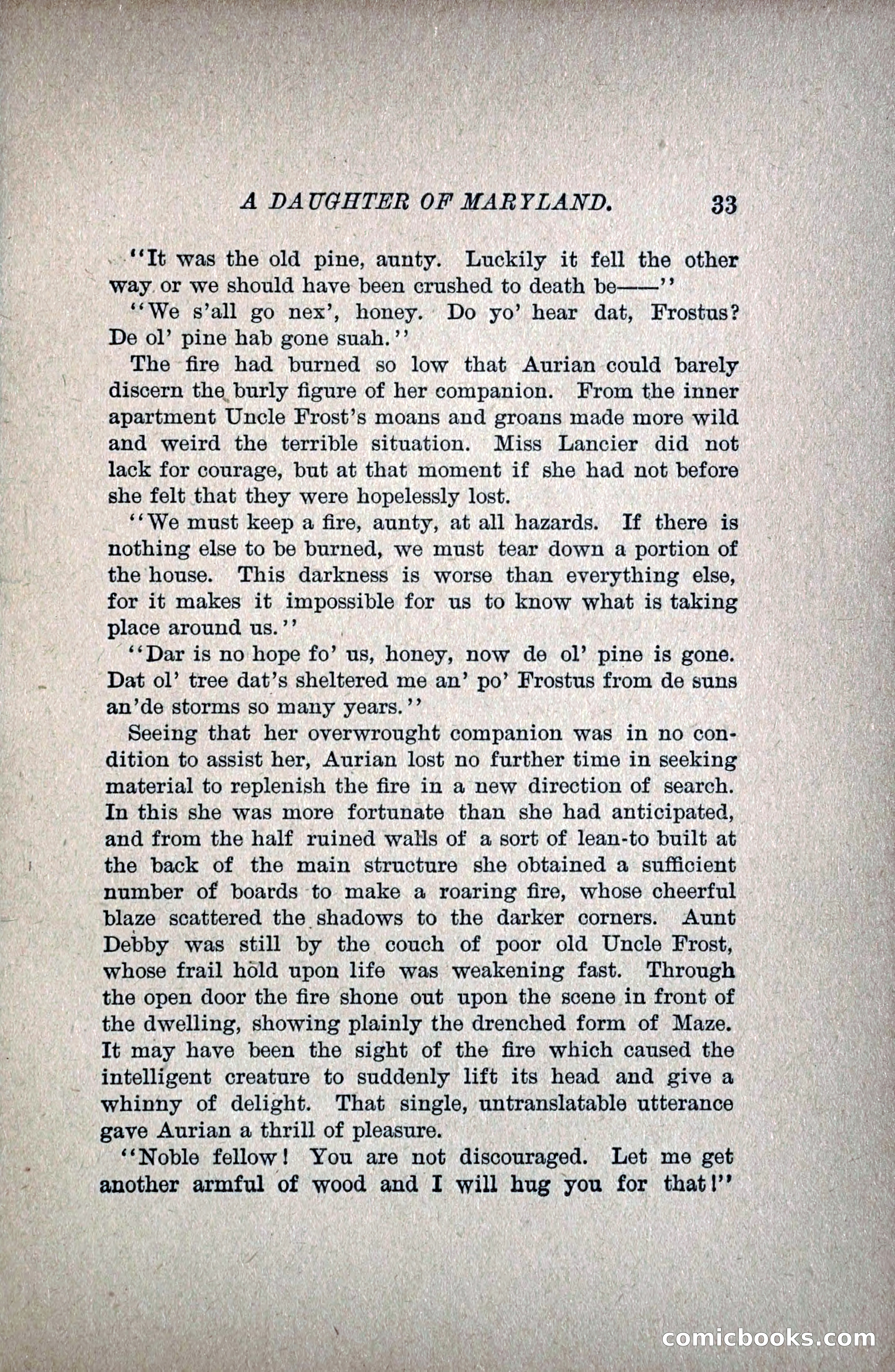 A Daughter of Maryland — page 48 of 215