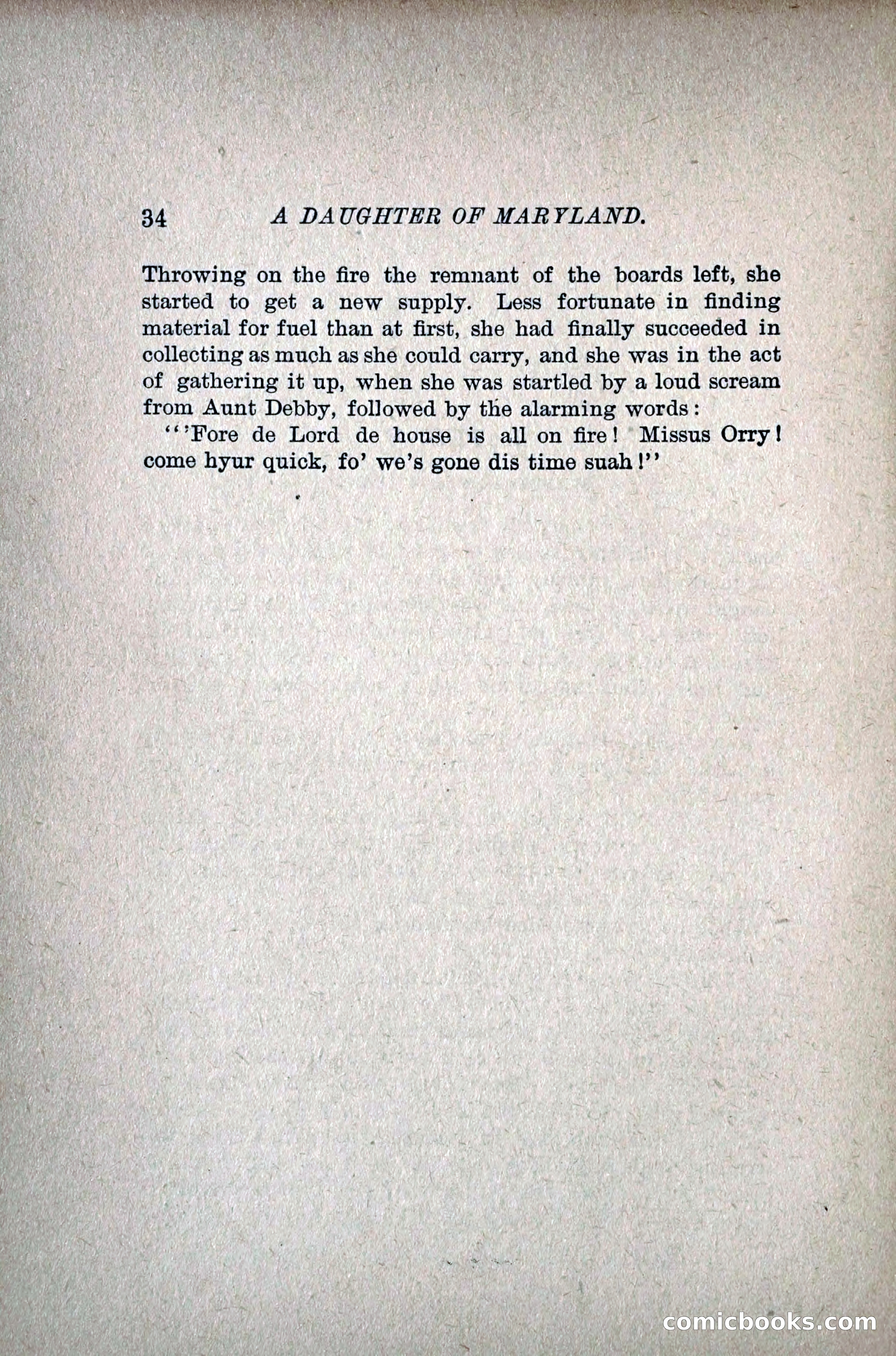 A Daughter of Maryland — page 49 of 215