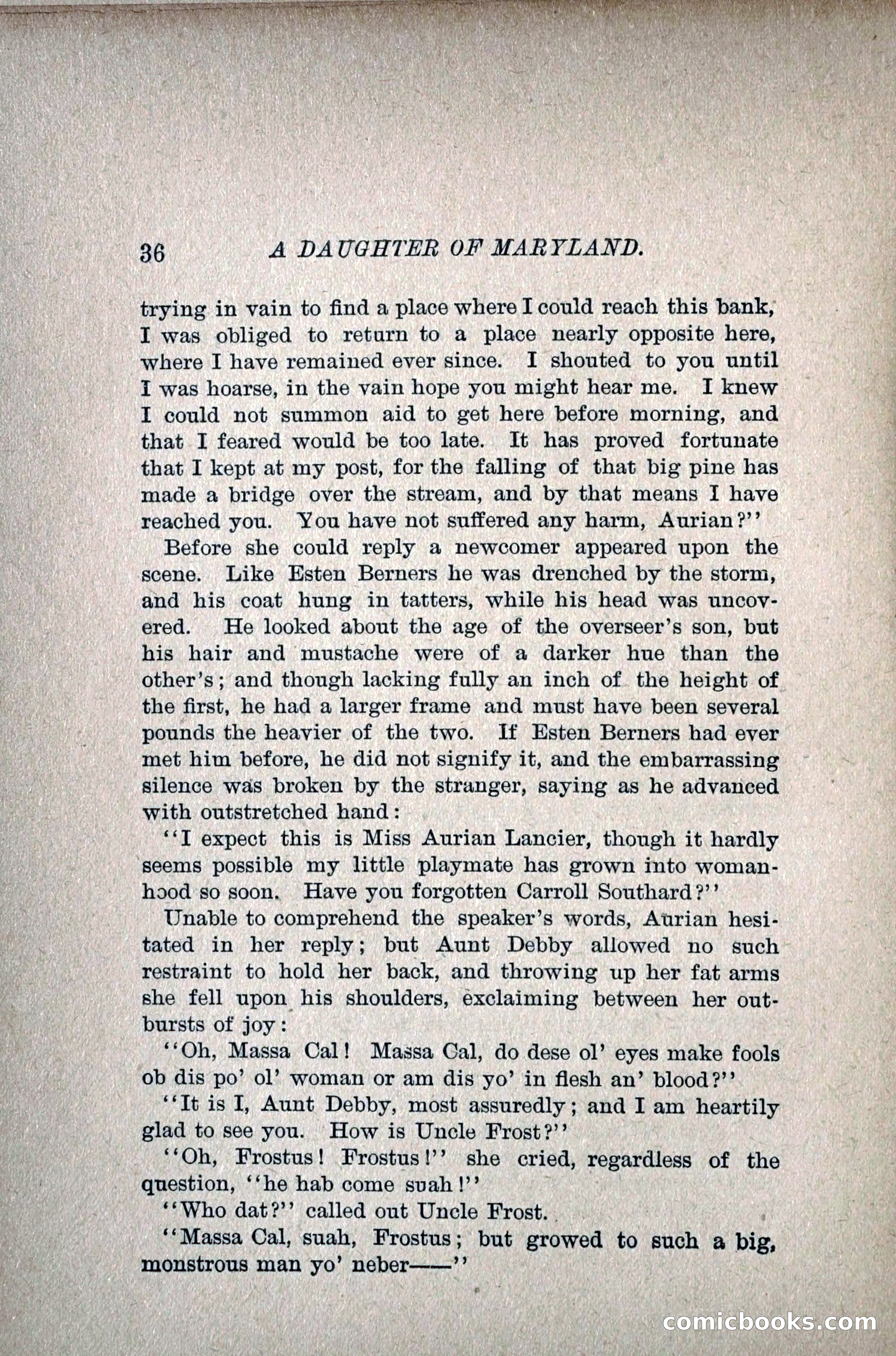 A Daughter of Maryland — page 51 of 215