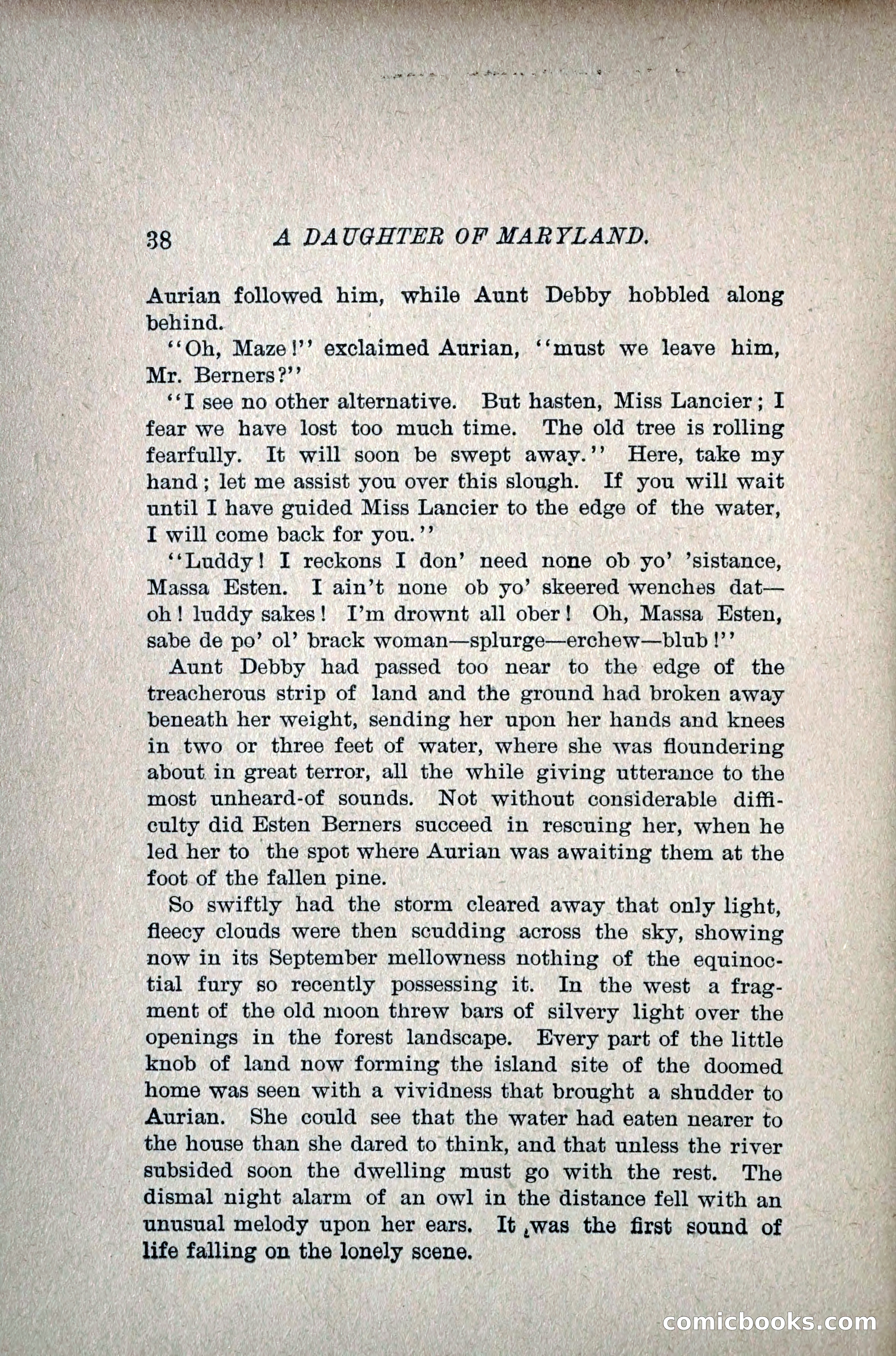 A Daughter of Maryland — page 53 of 215