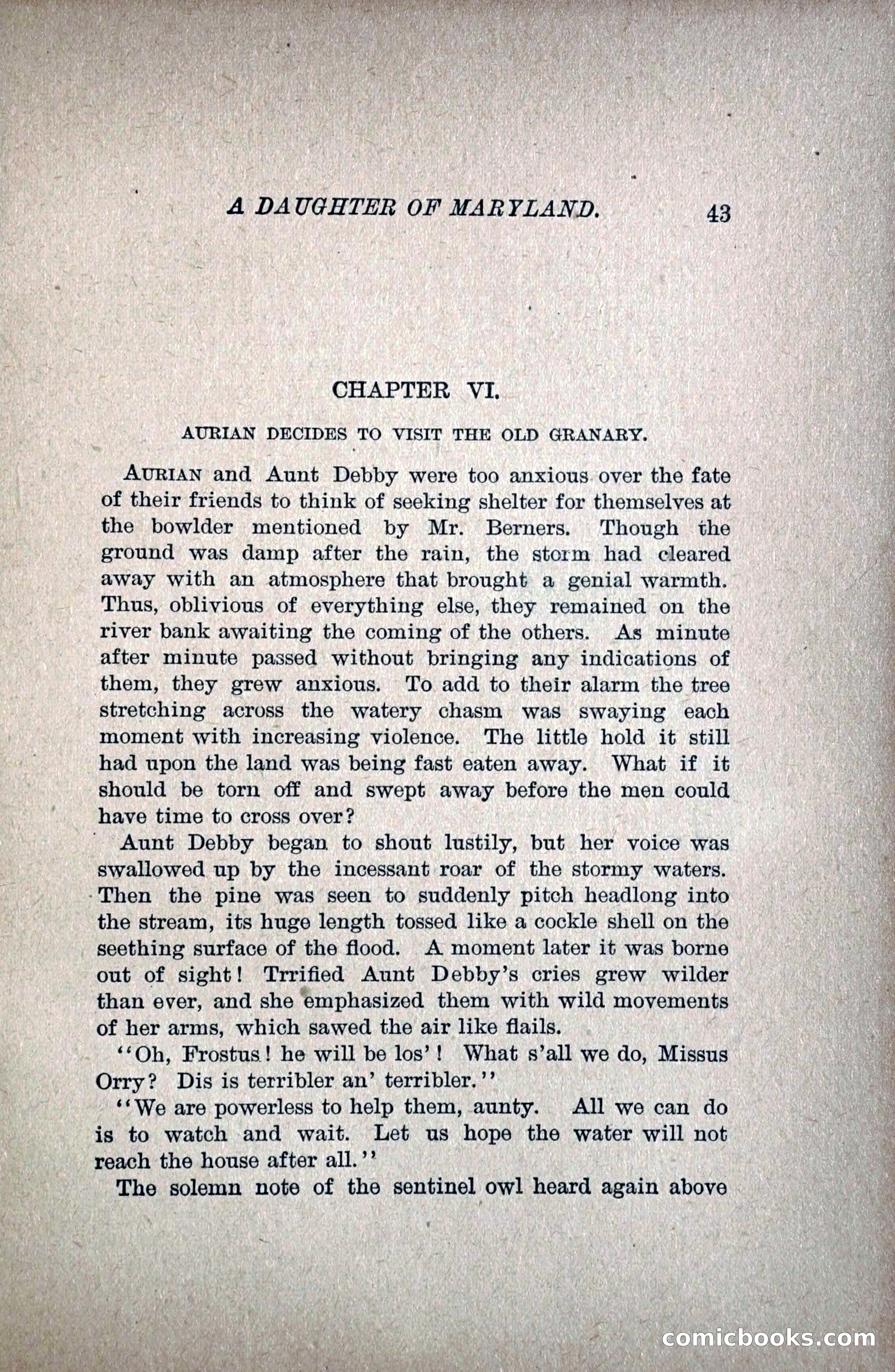A Daughter of Maryland — page 58 of 215