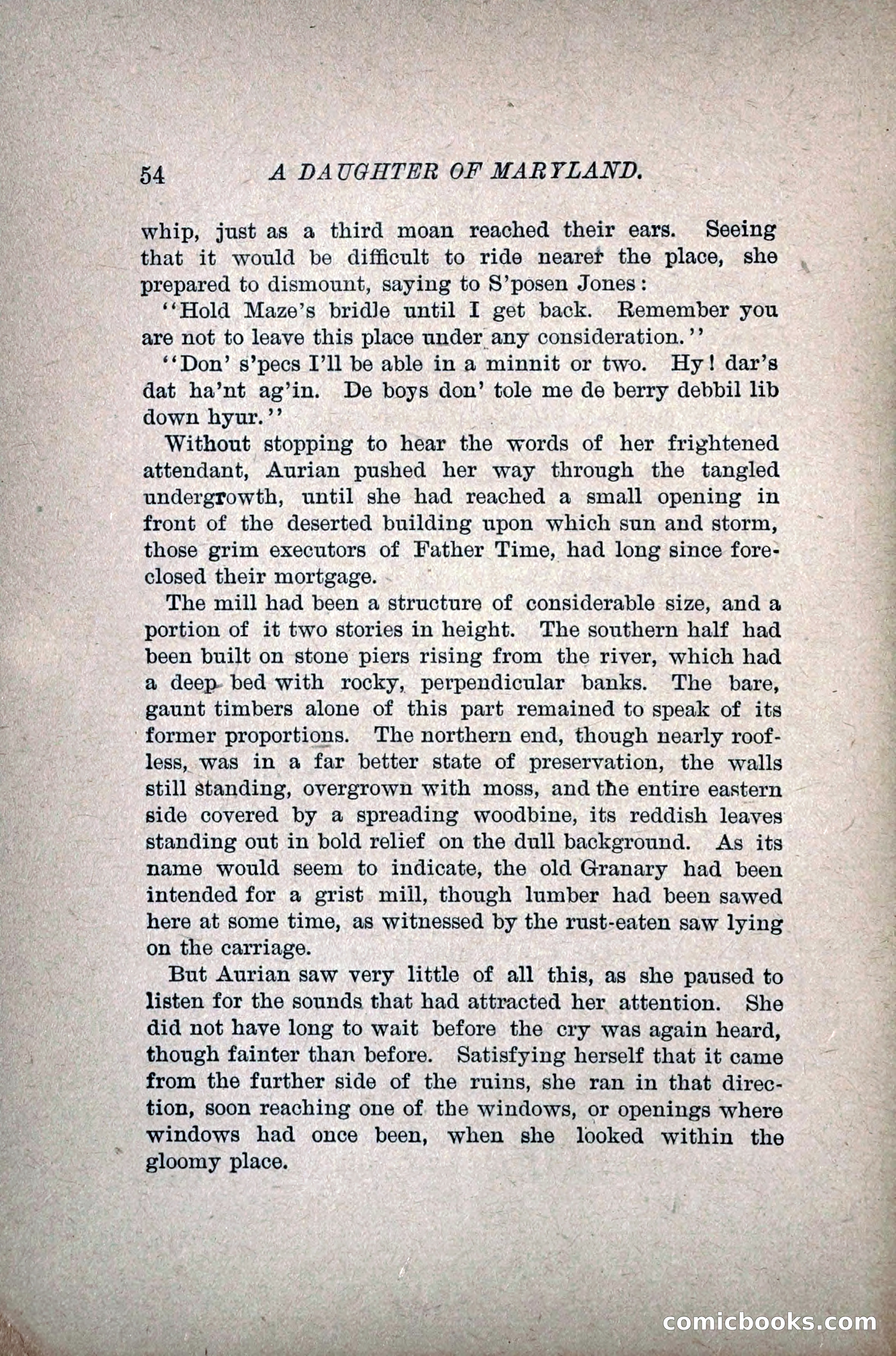 A Daughter of Maryland — page 71 of 215