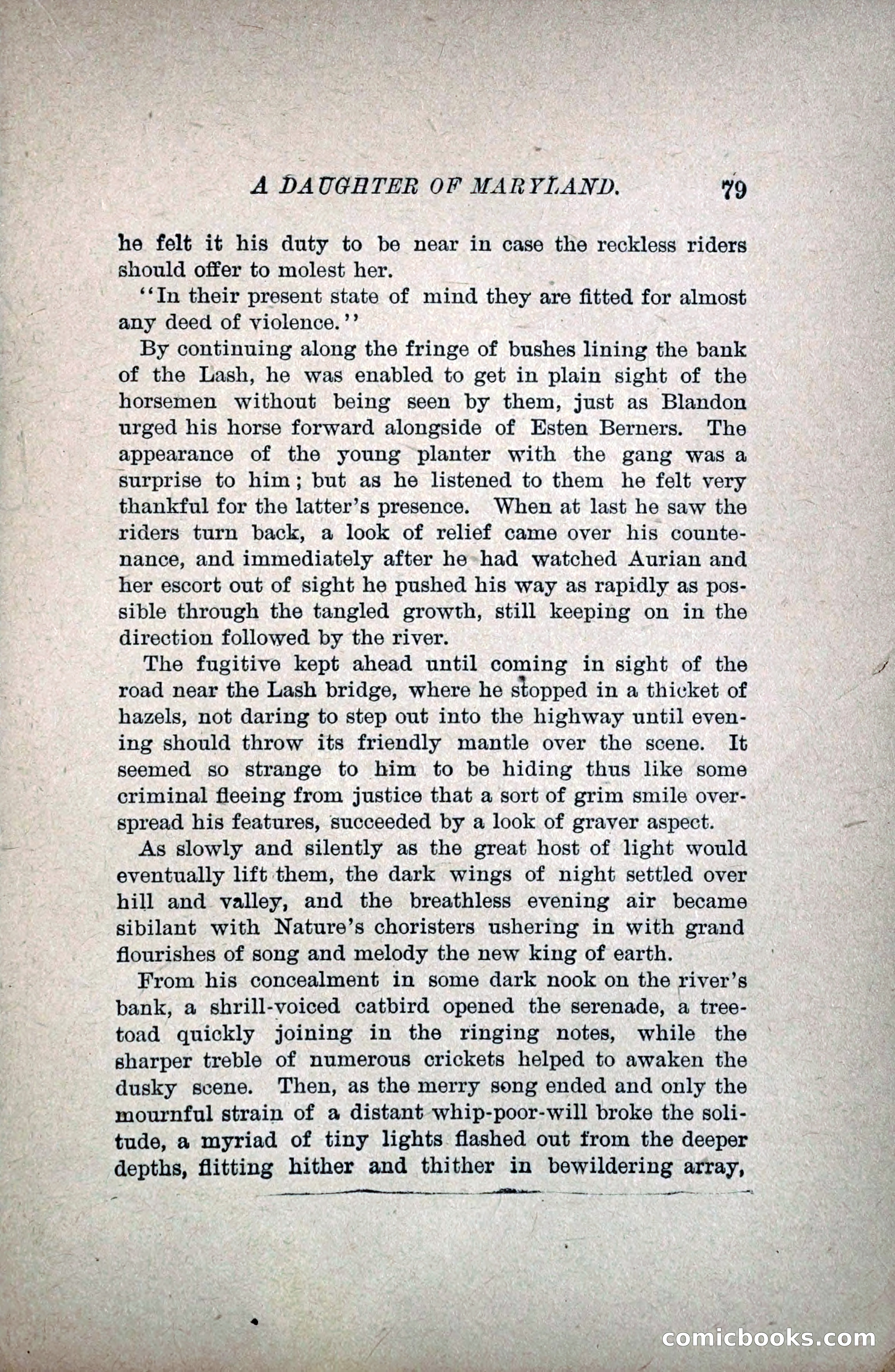 A Daughter of Maryland — page 96 of 215