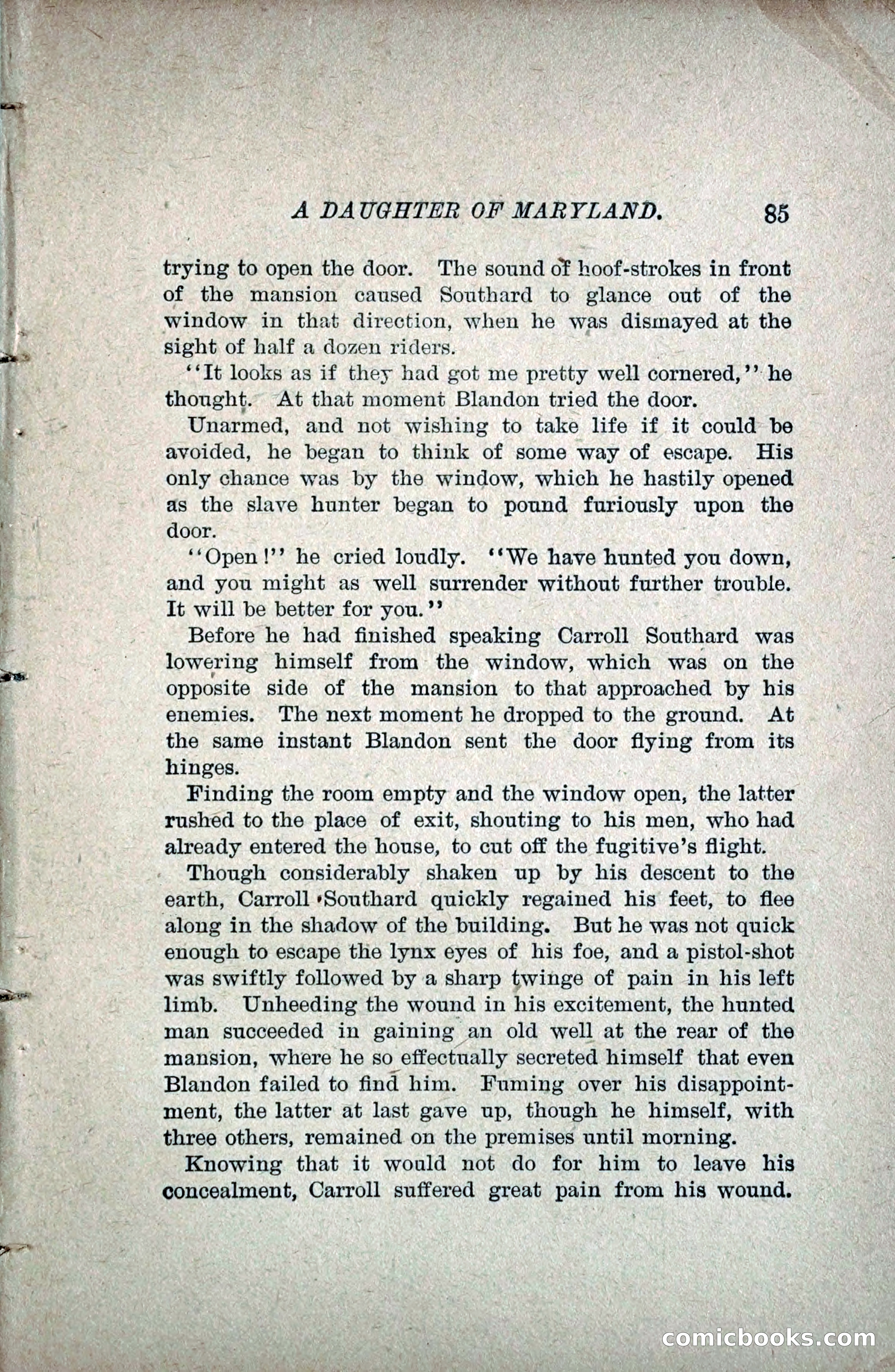 A Daughter of Maryland — page 104 of 215