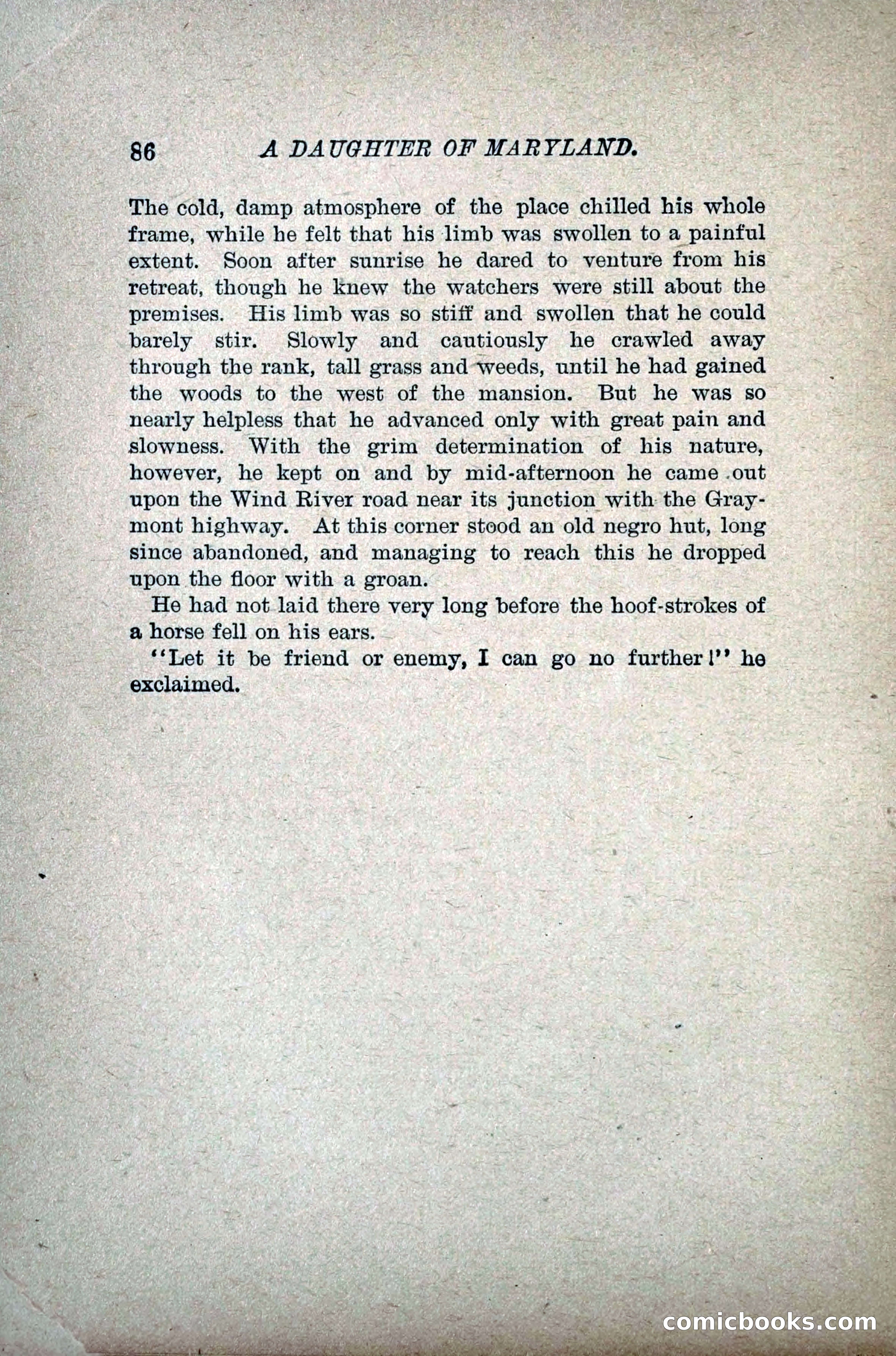 A Daughter of Maryland — page 105 of 215