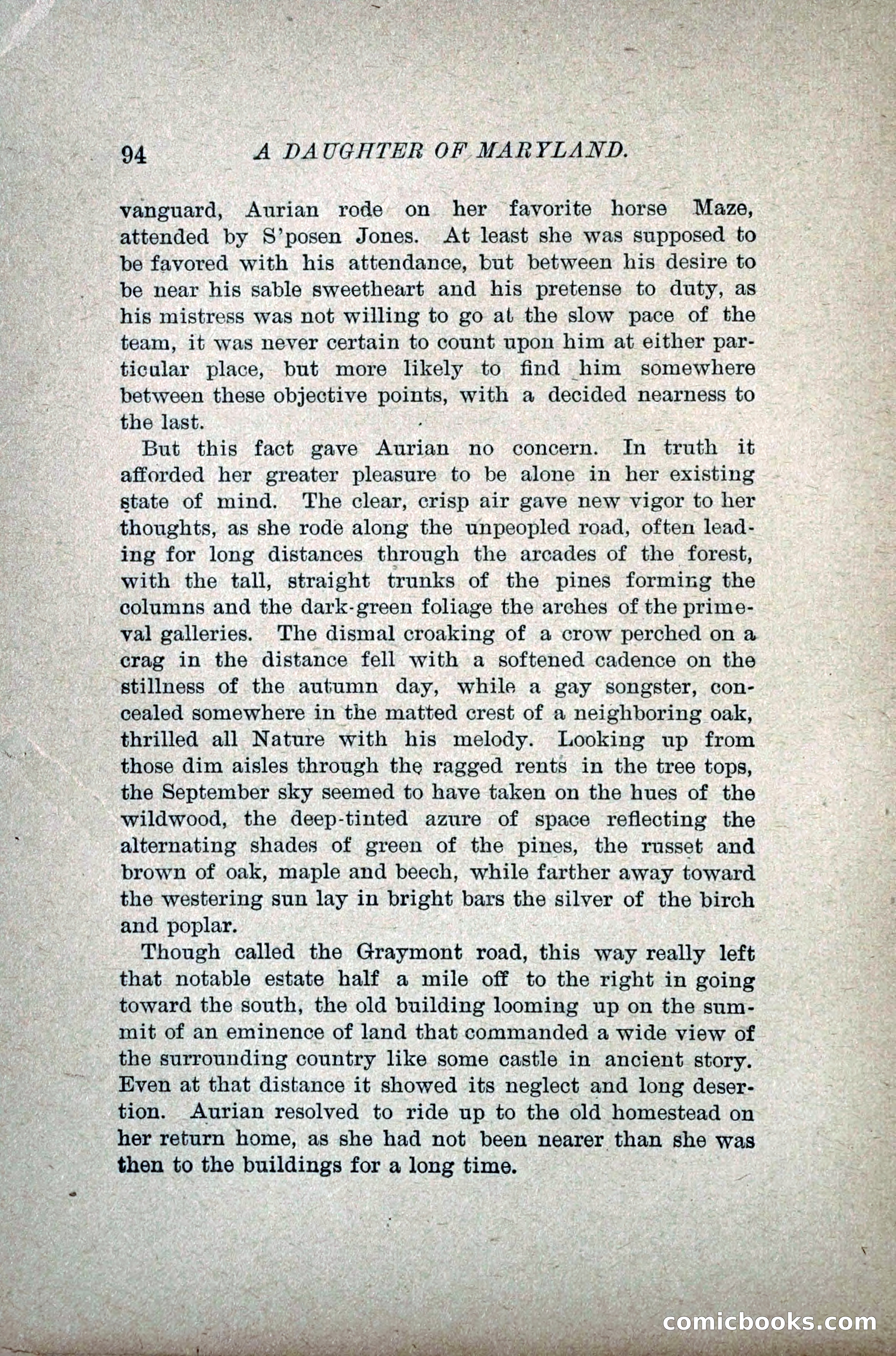A Daughter of Maryland — page 113 of 215