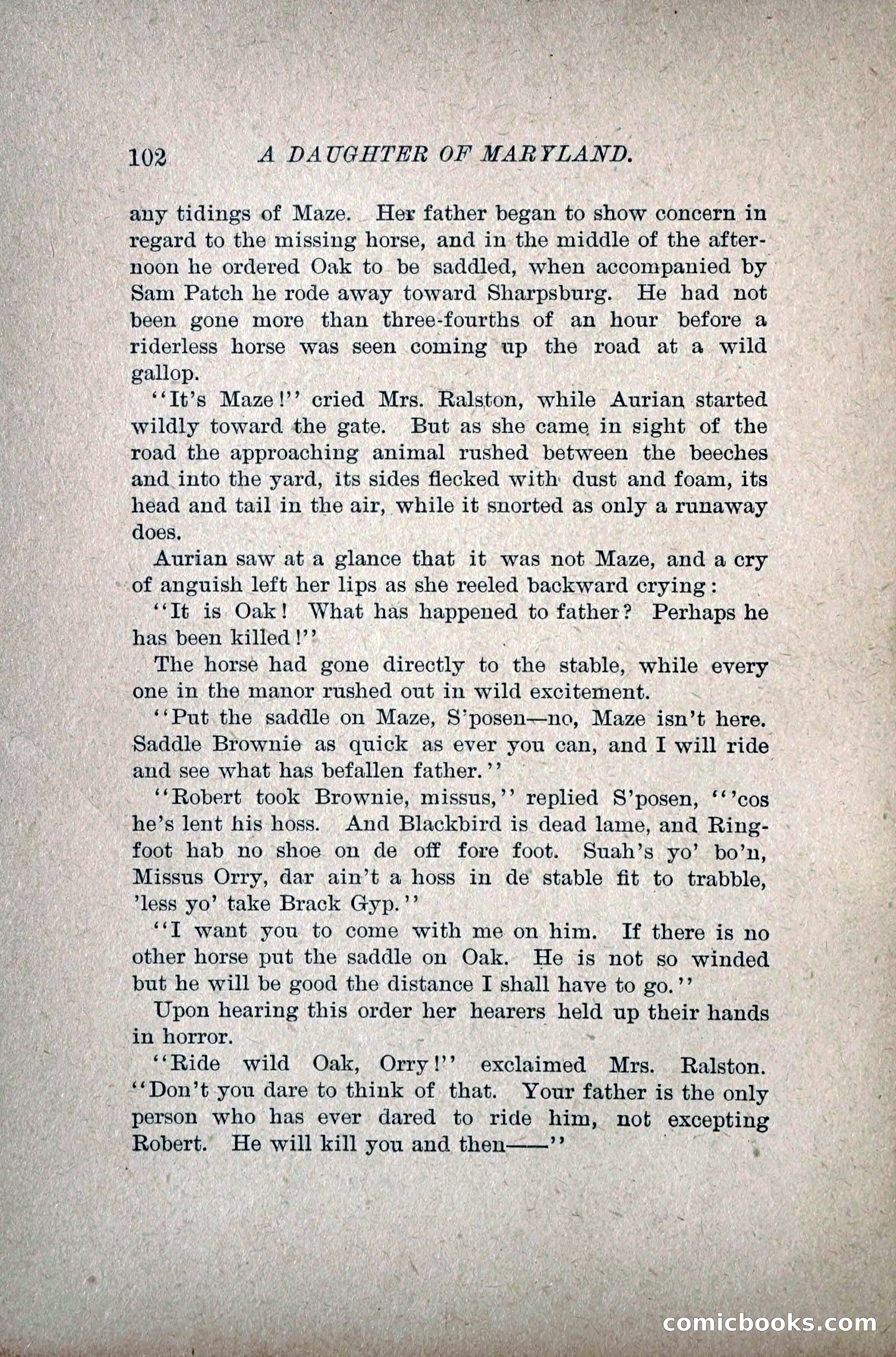 A Daughter of Maryland — page 121 of 215