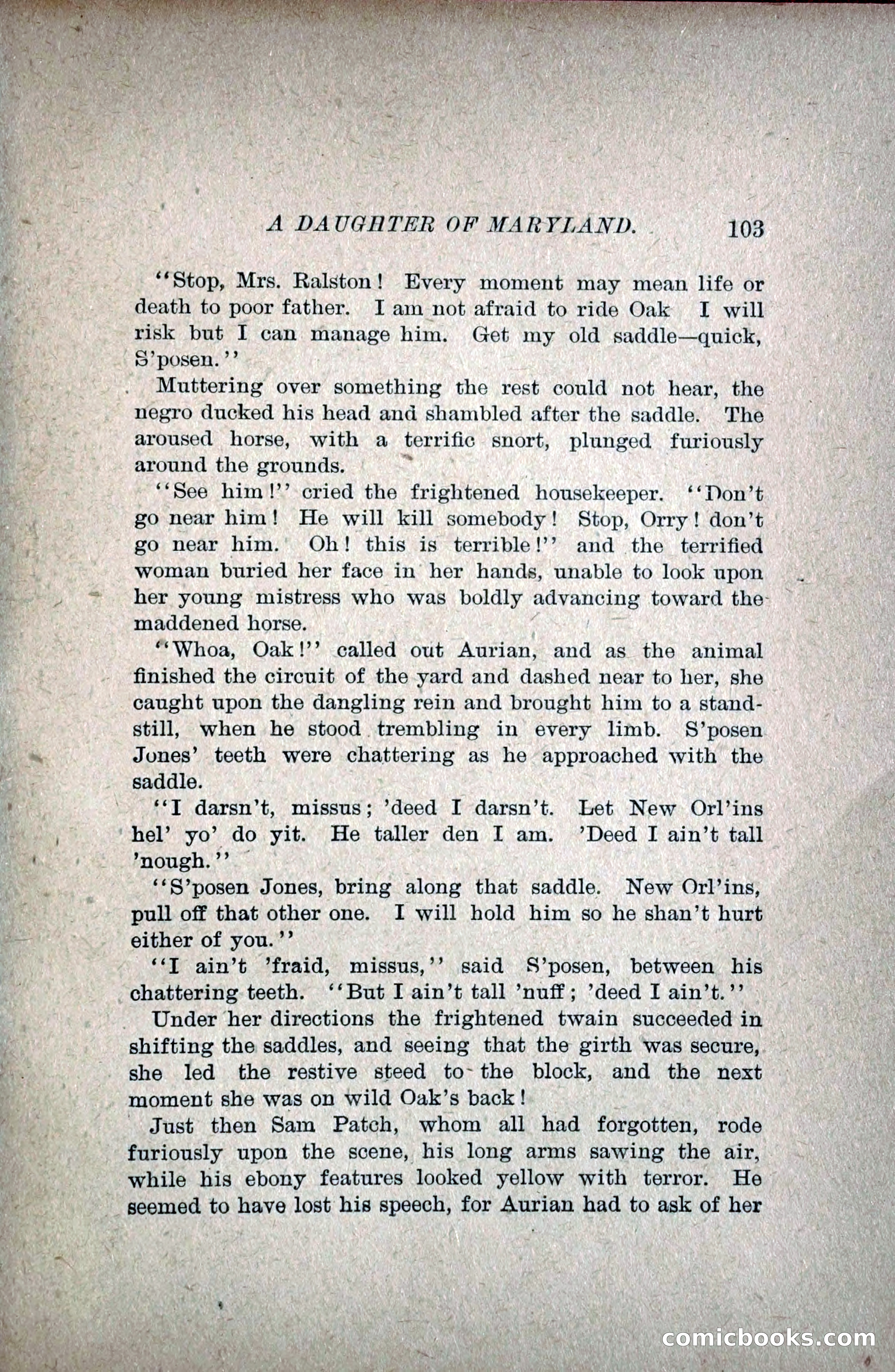 A Daughter of Maryland — page 122 of 215