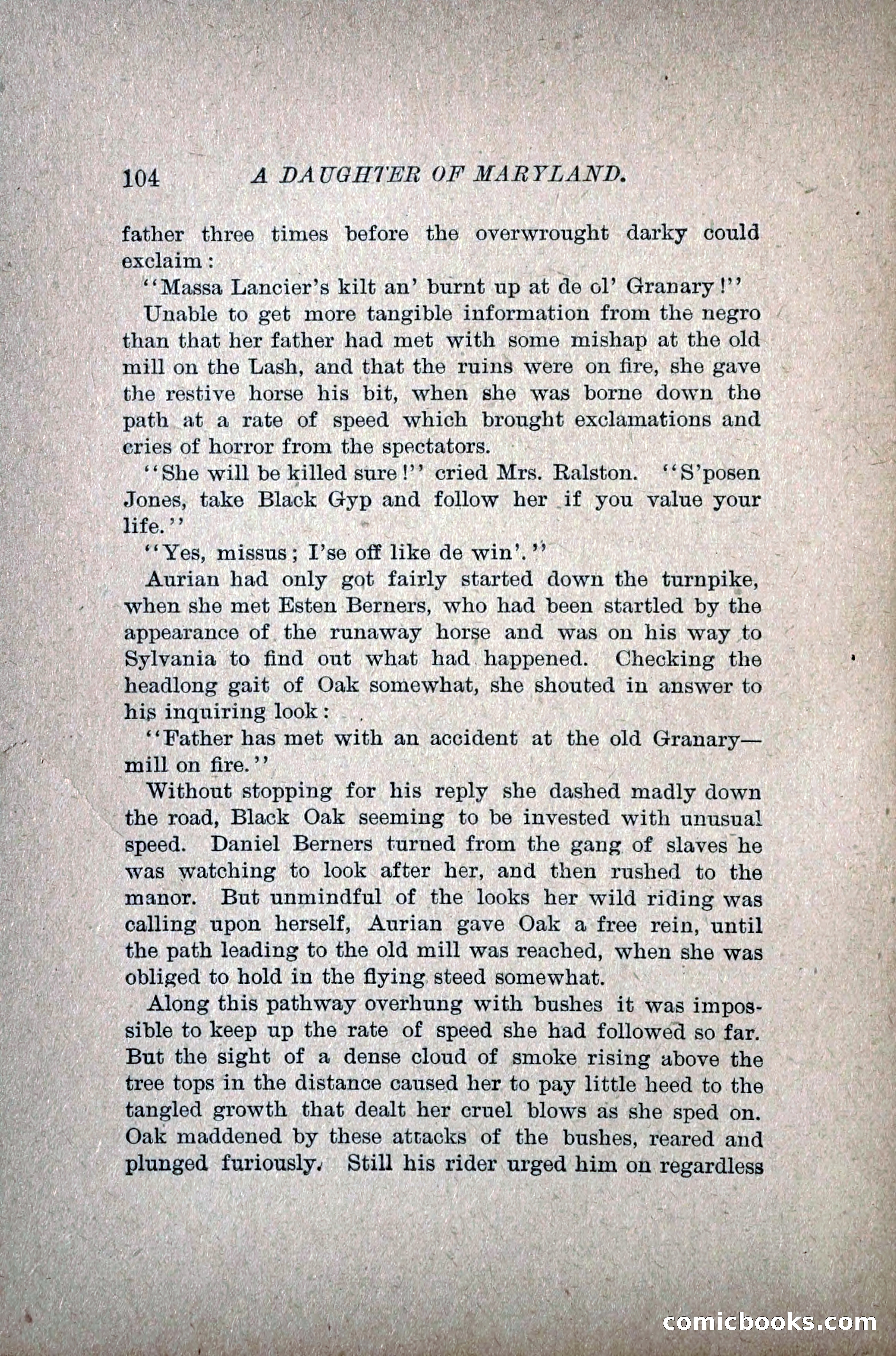 A Daughter of Maryland — page 123 of 215