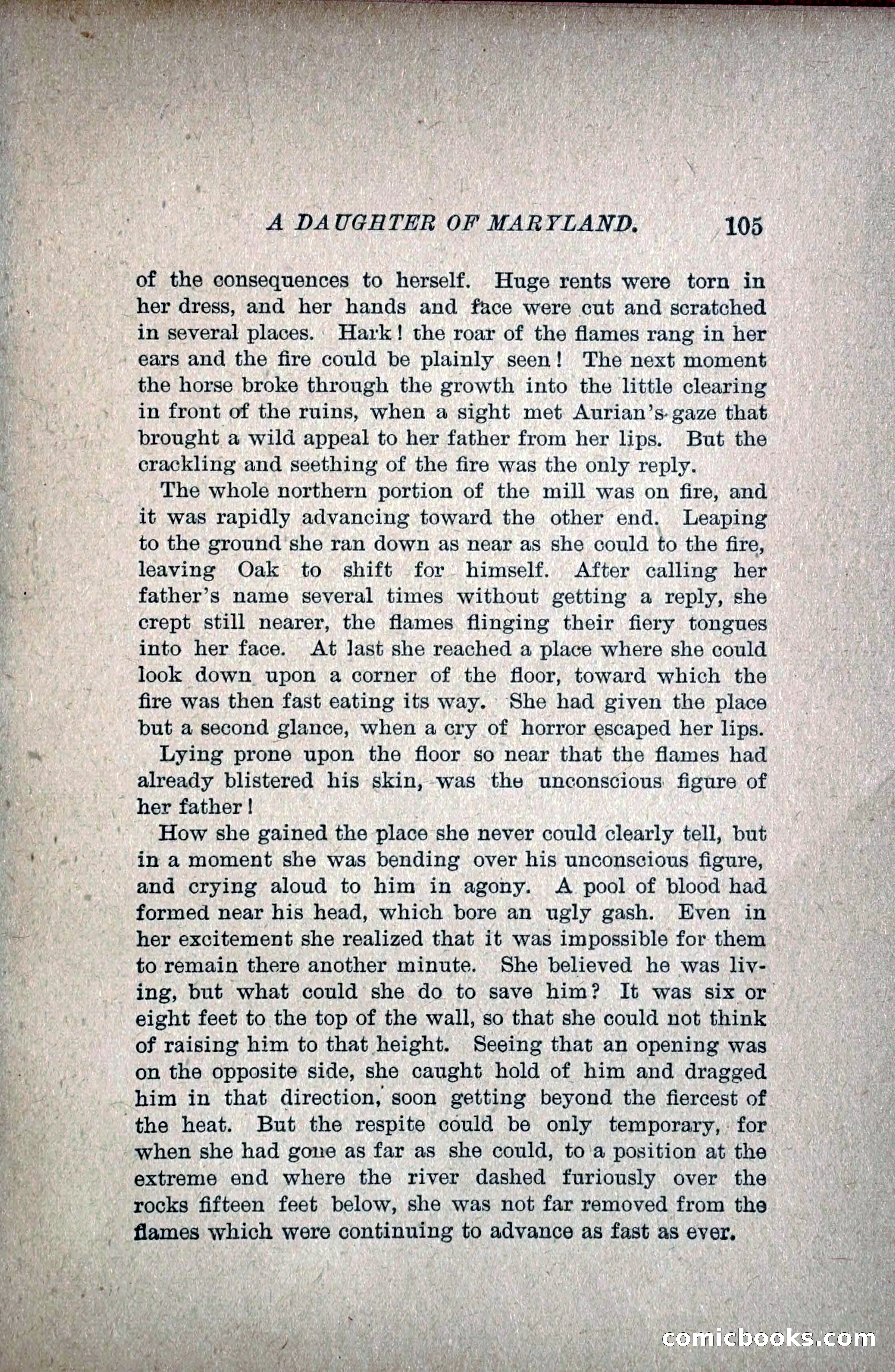 A Daughter of Maryland — page 124 of 215