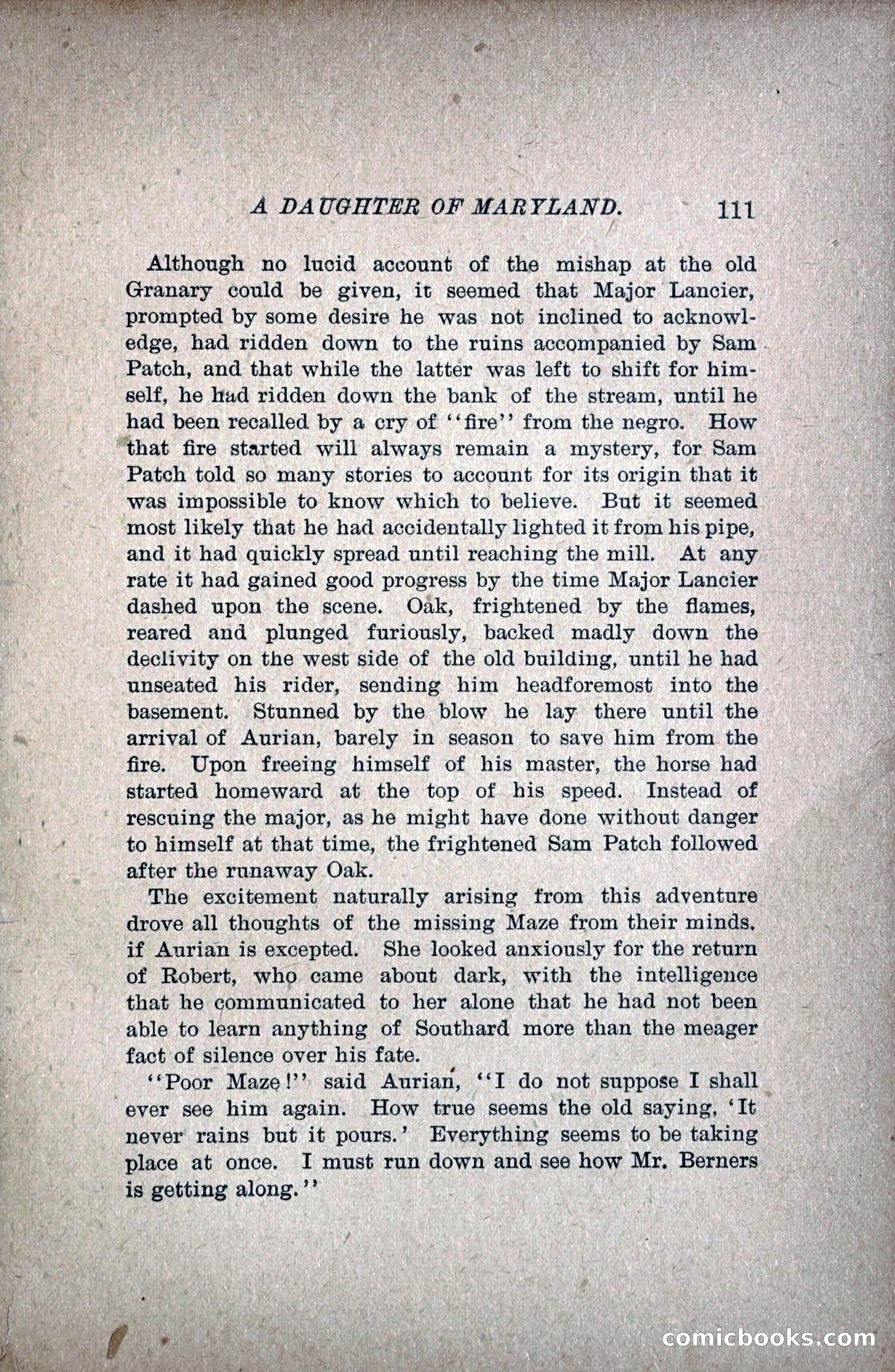 A Daughter of Maryland — page 132 of 215