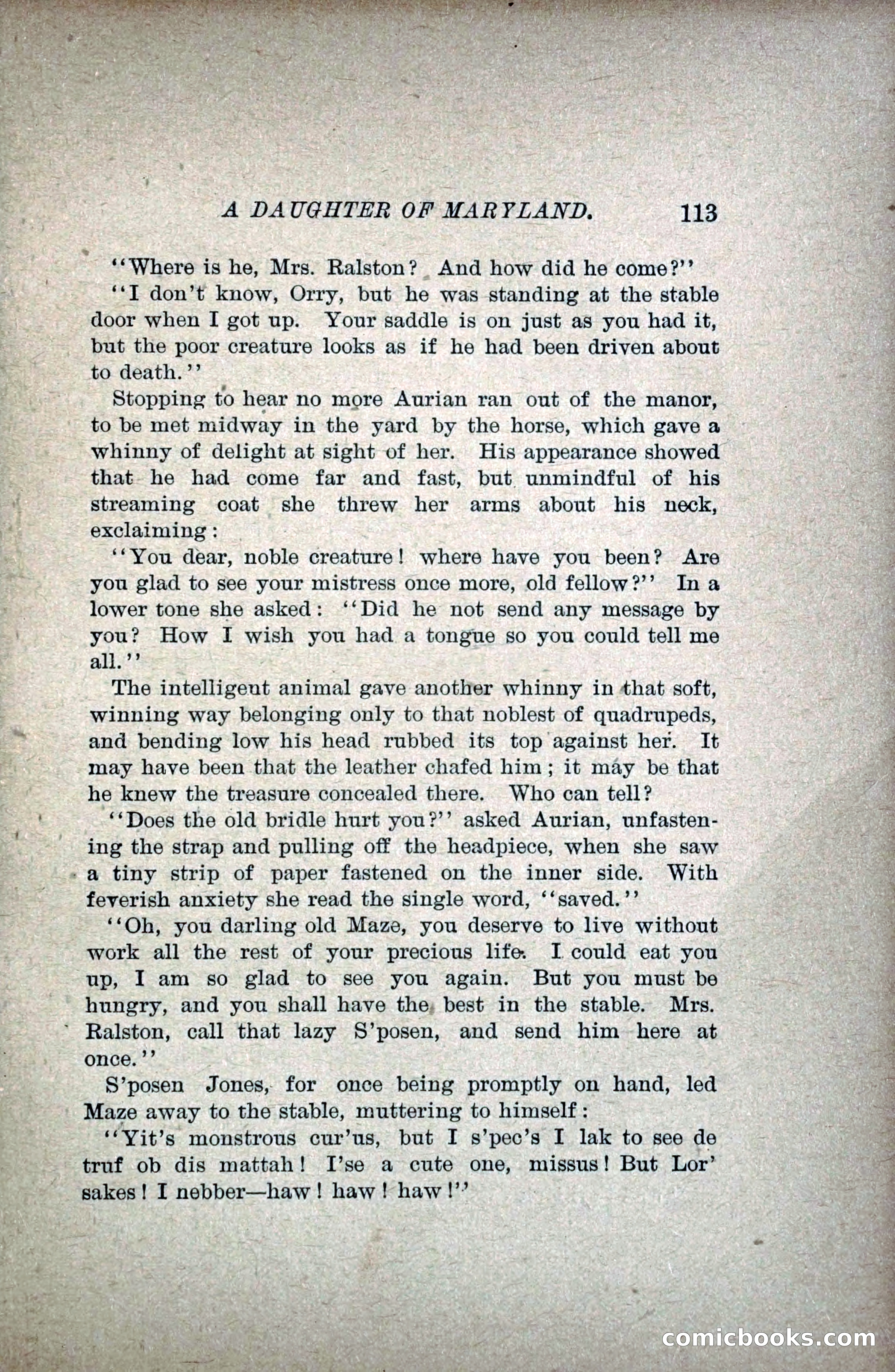 A Daughter of Maryland — page 134 of 215