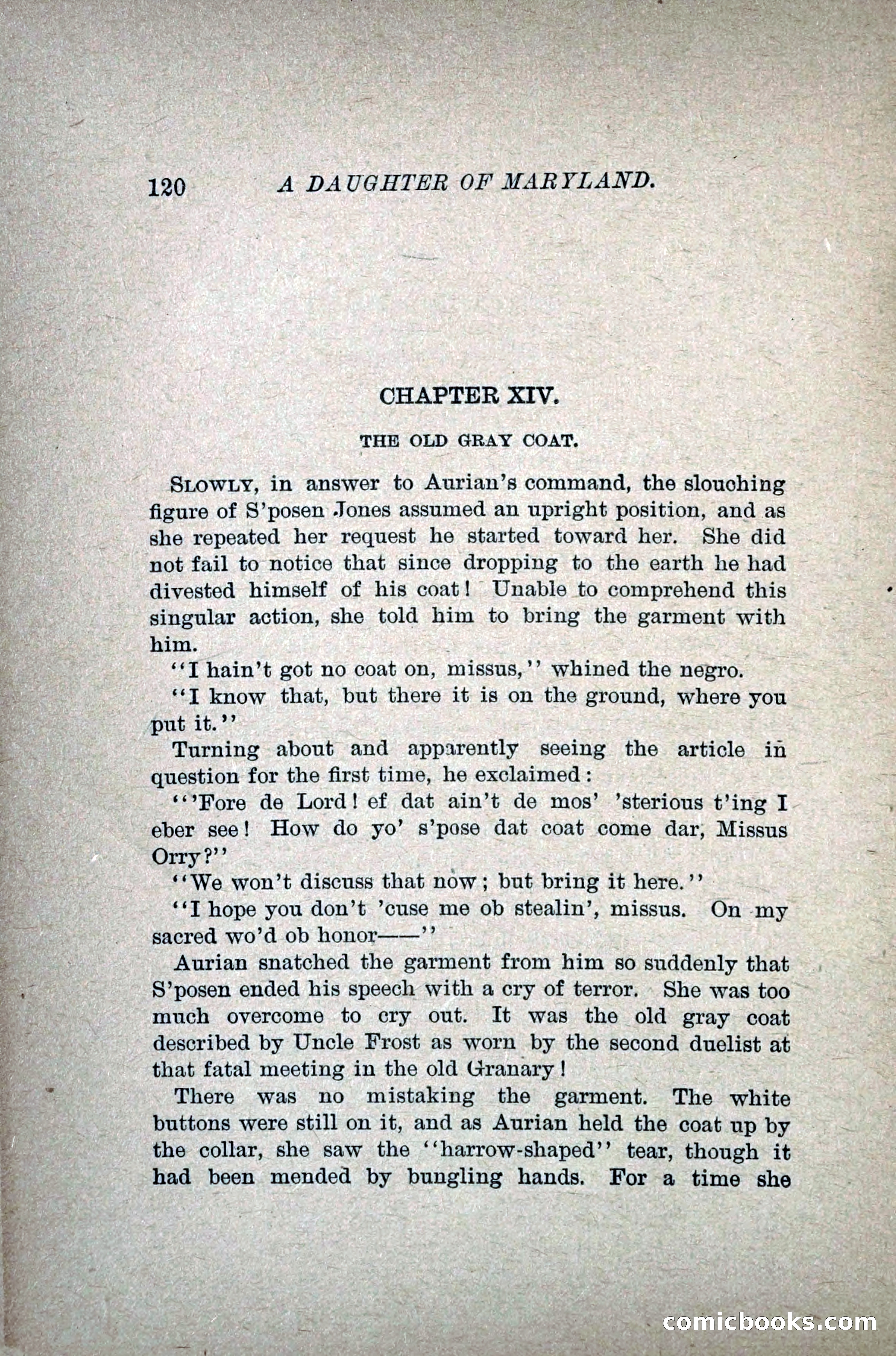 A Daughter of Maryland — page 141 of 215
