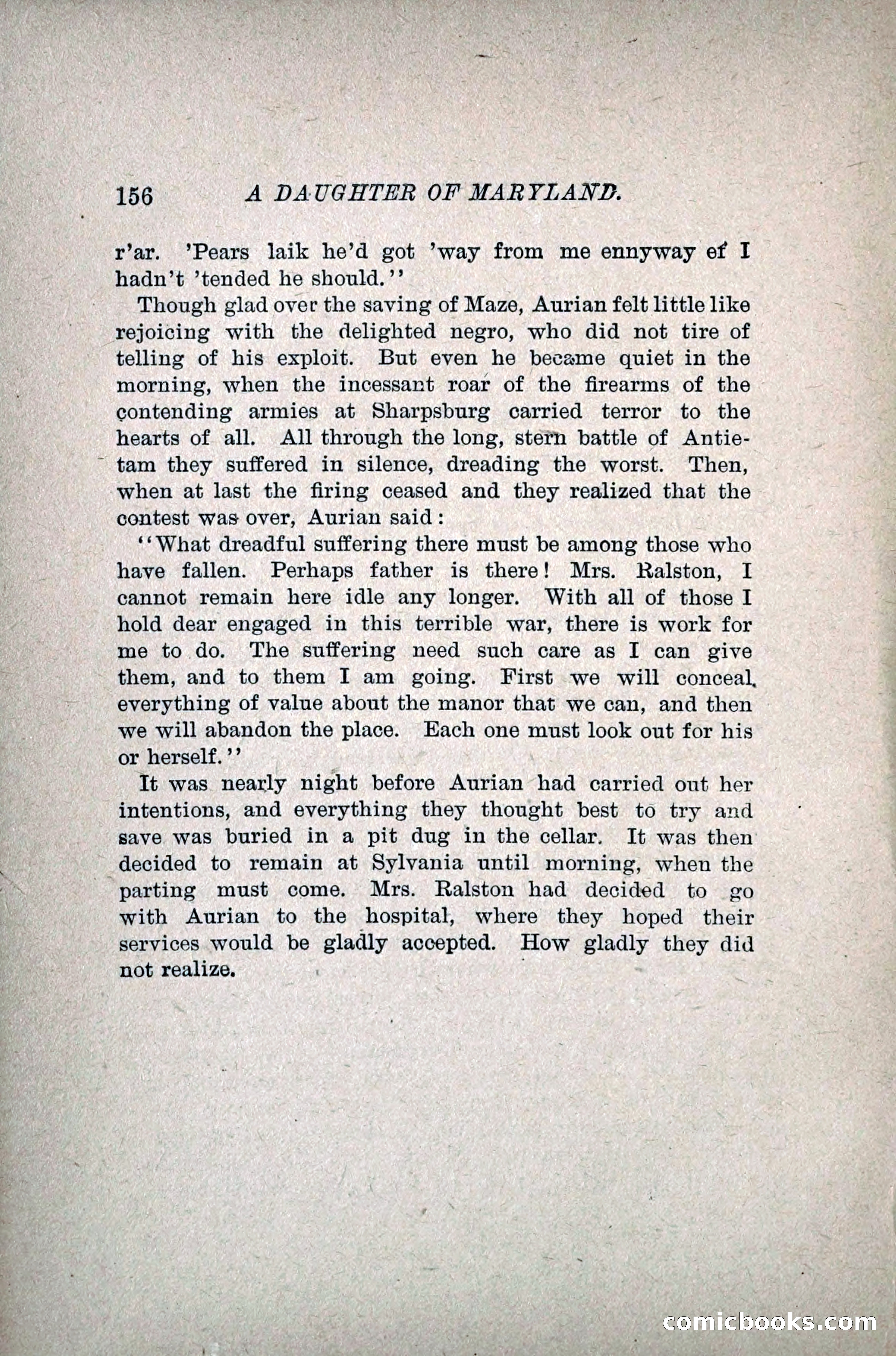 A Daughter of Maryland — page 179 of 215