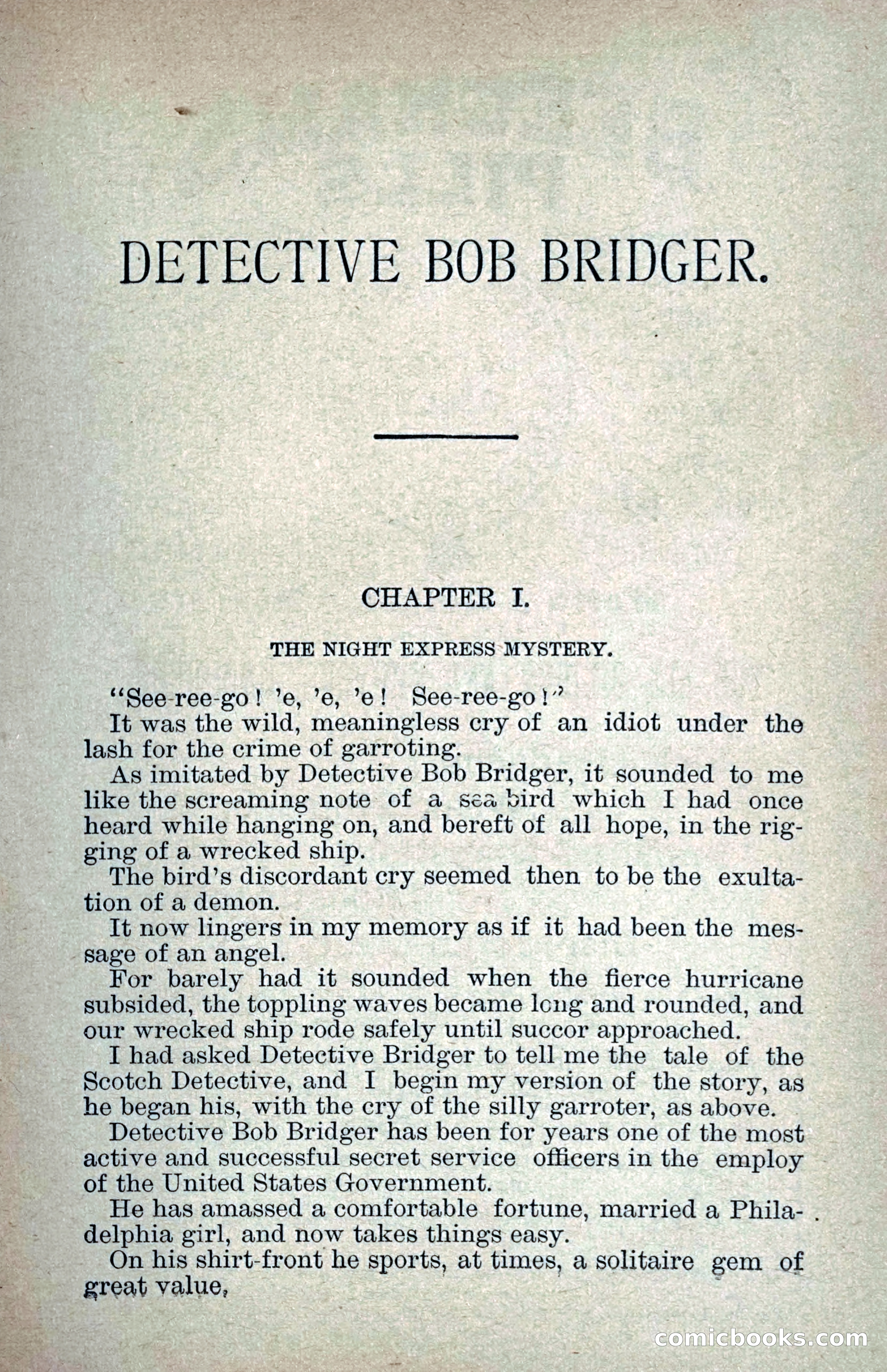 Detective Bob Bridger — page 14 of 263