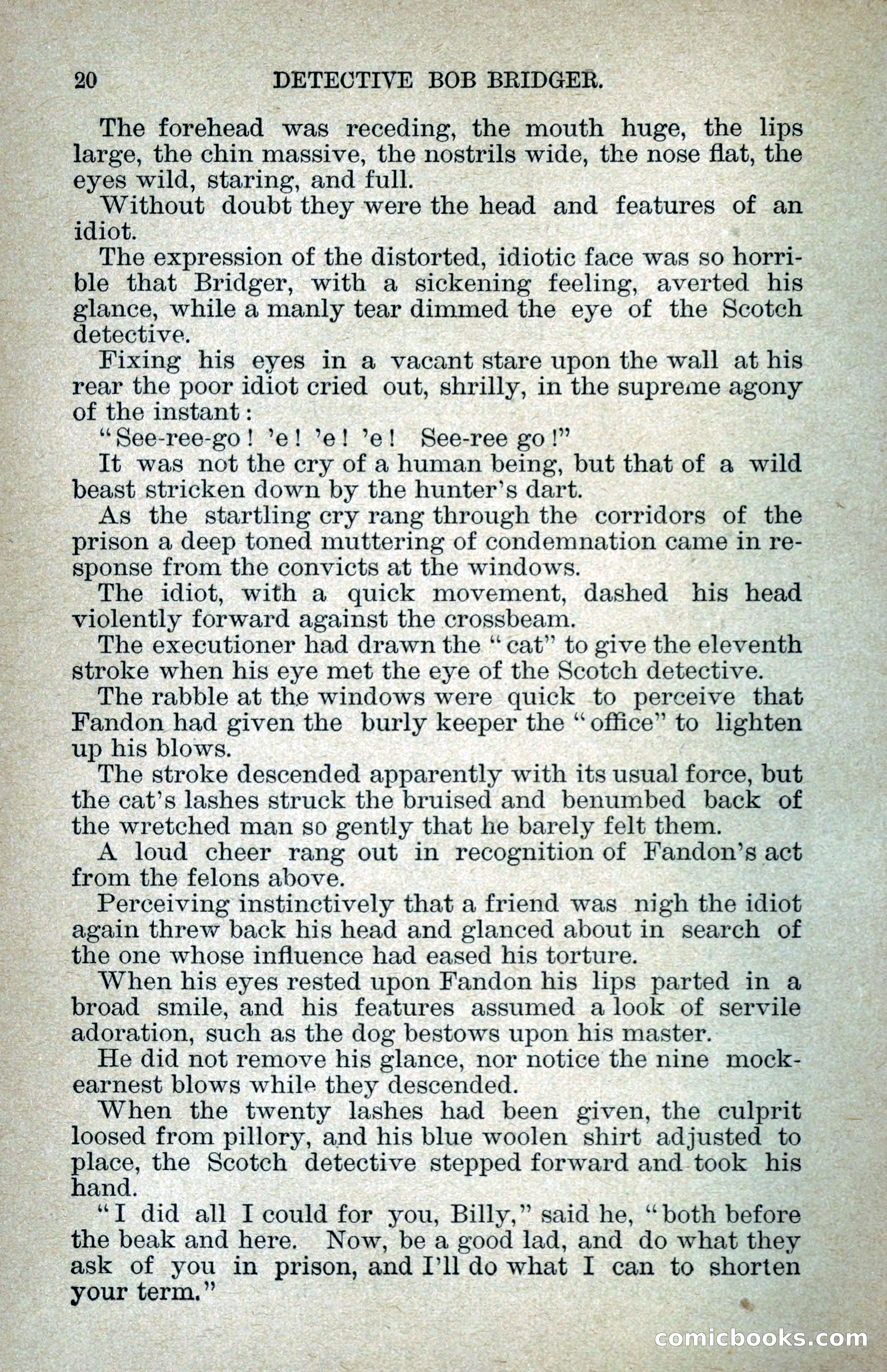 Detective Bob Bridger — page 27 of 263