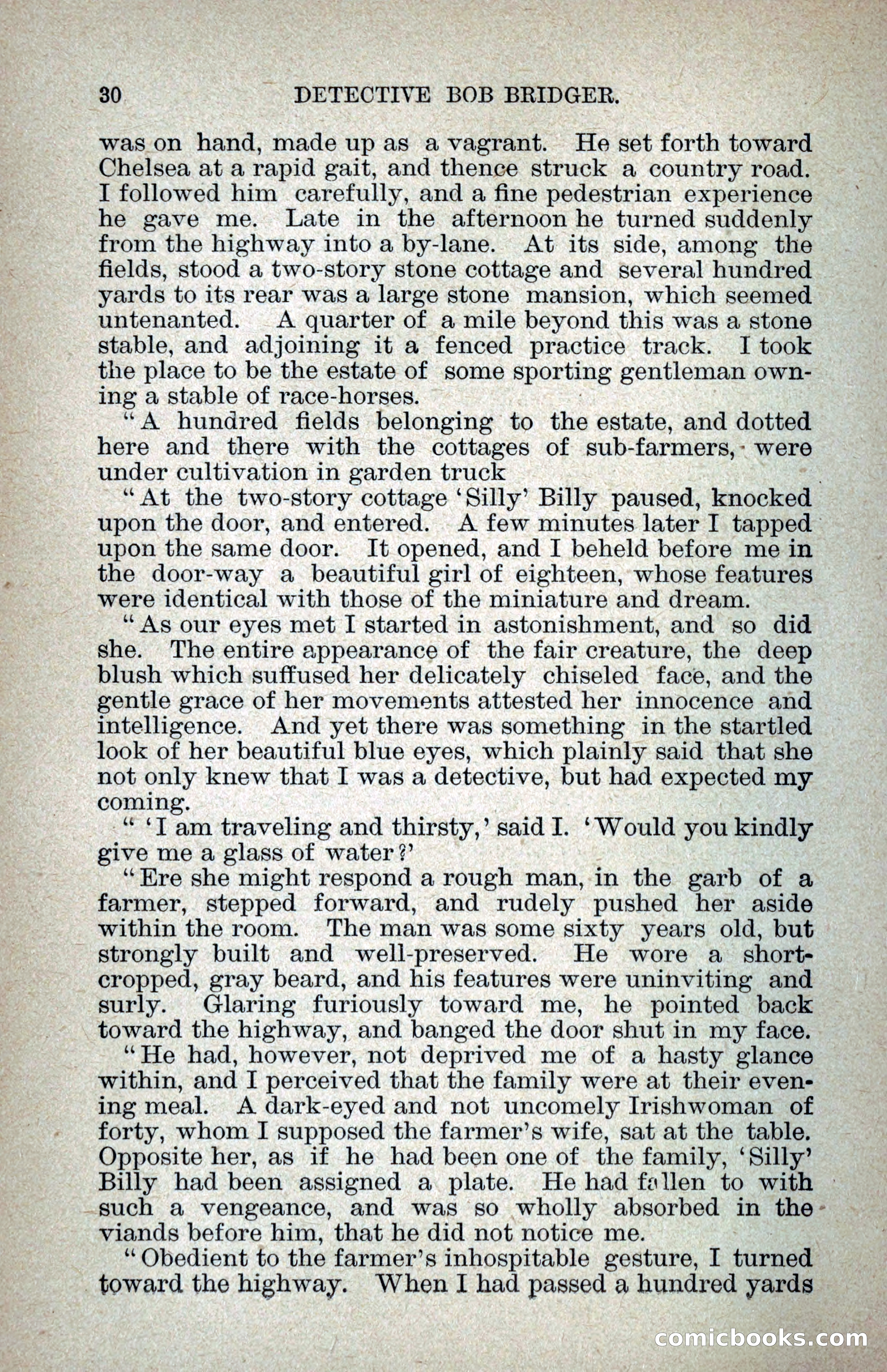 Detective Bob Bridger — page 37 of 263