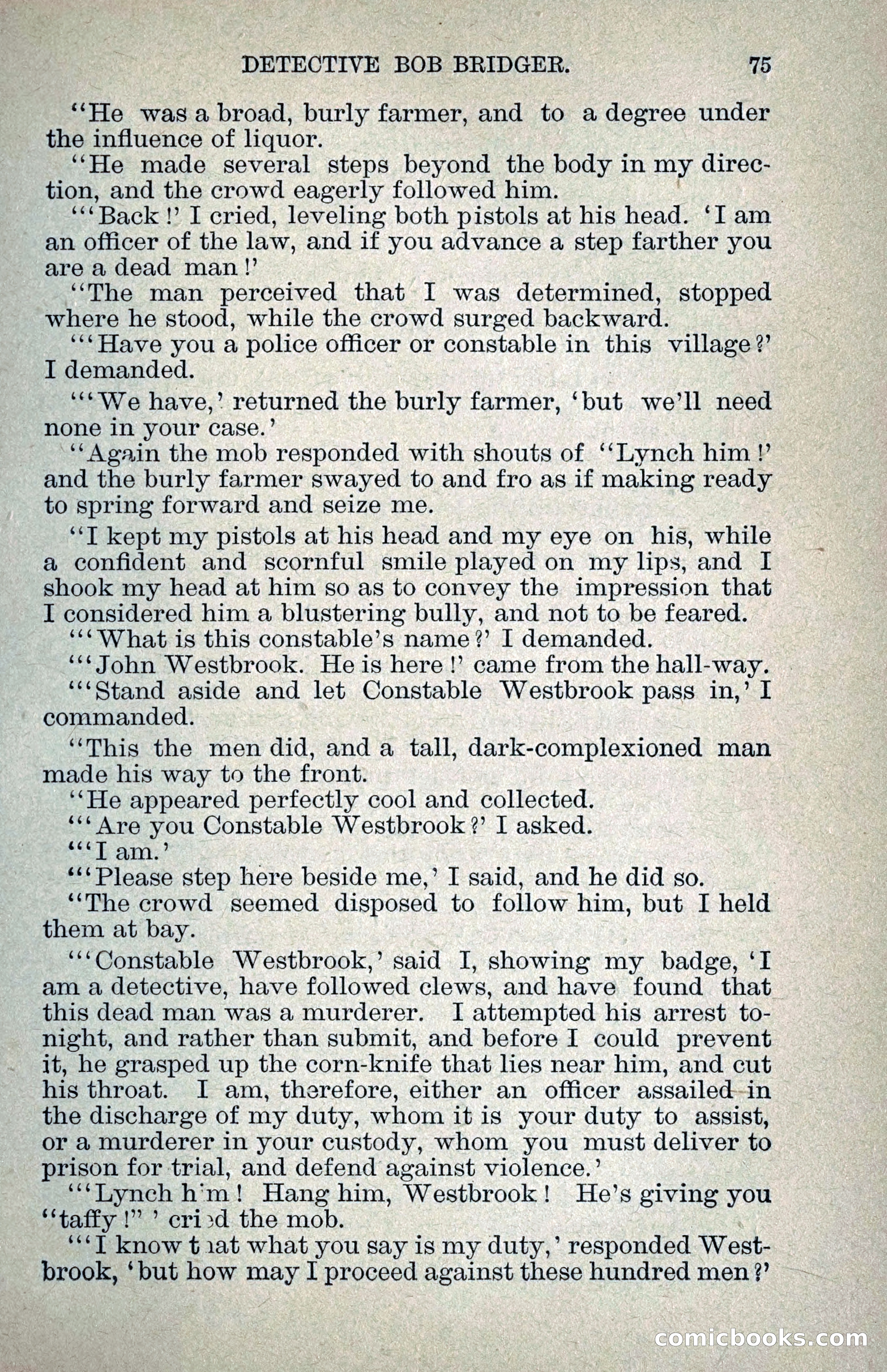 Detective Bob Bridger — page 82 of 263