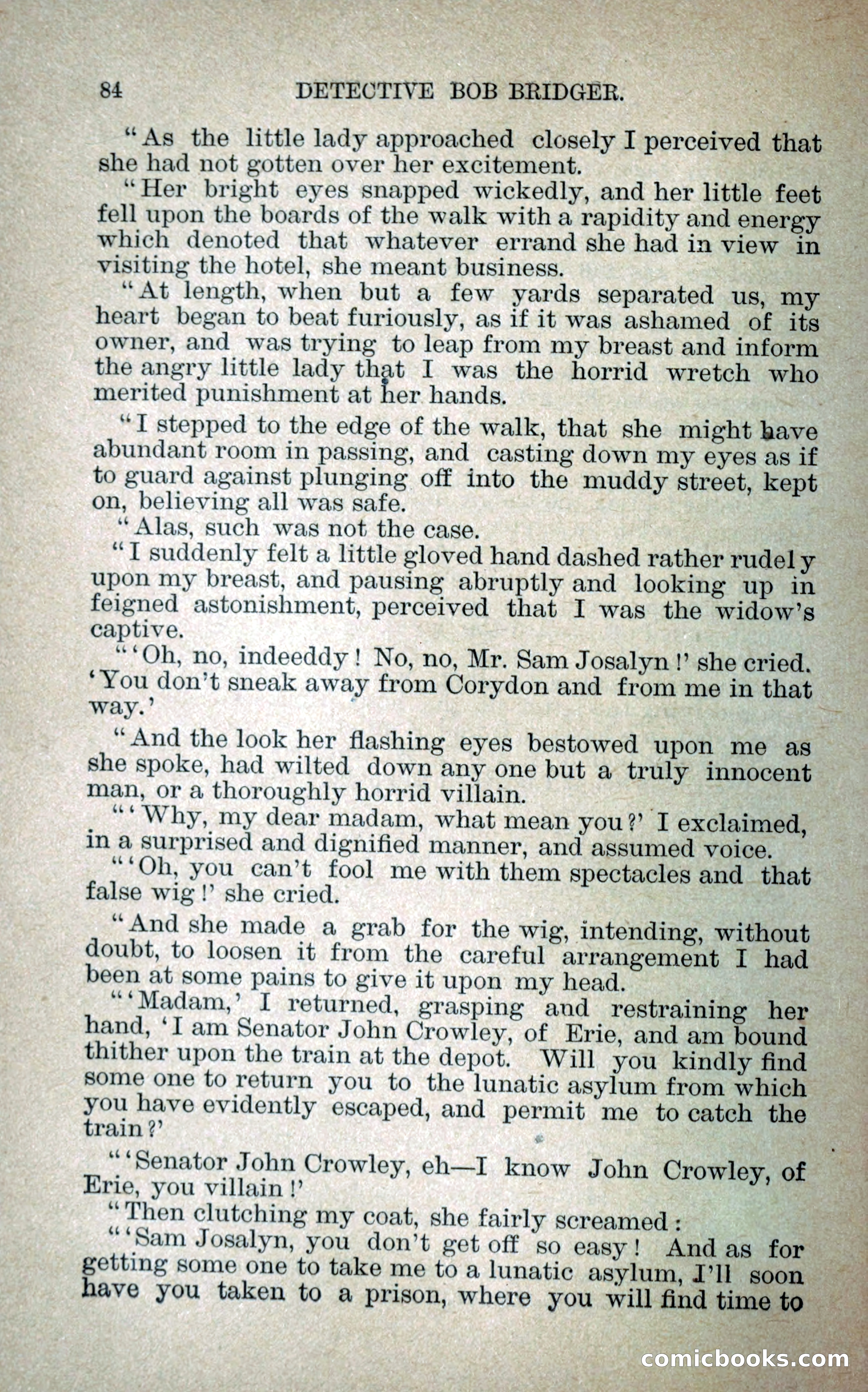 Detective Bob Bridger — page 91 of 263