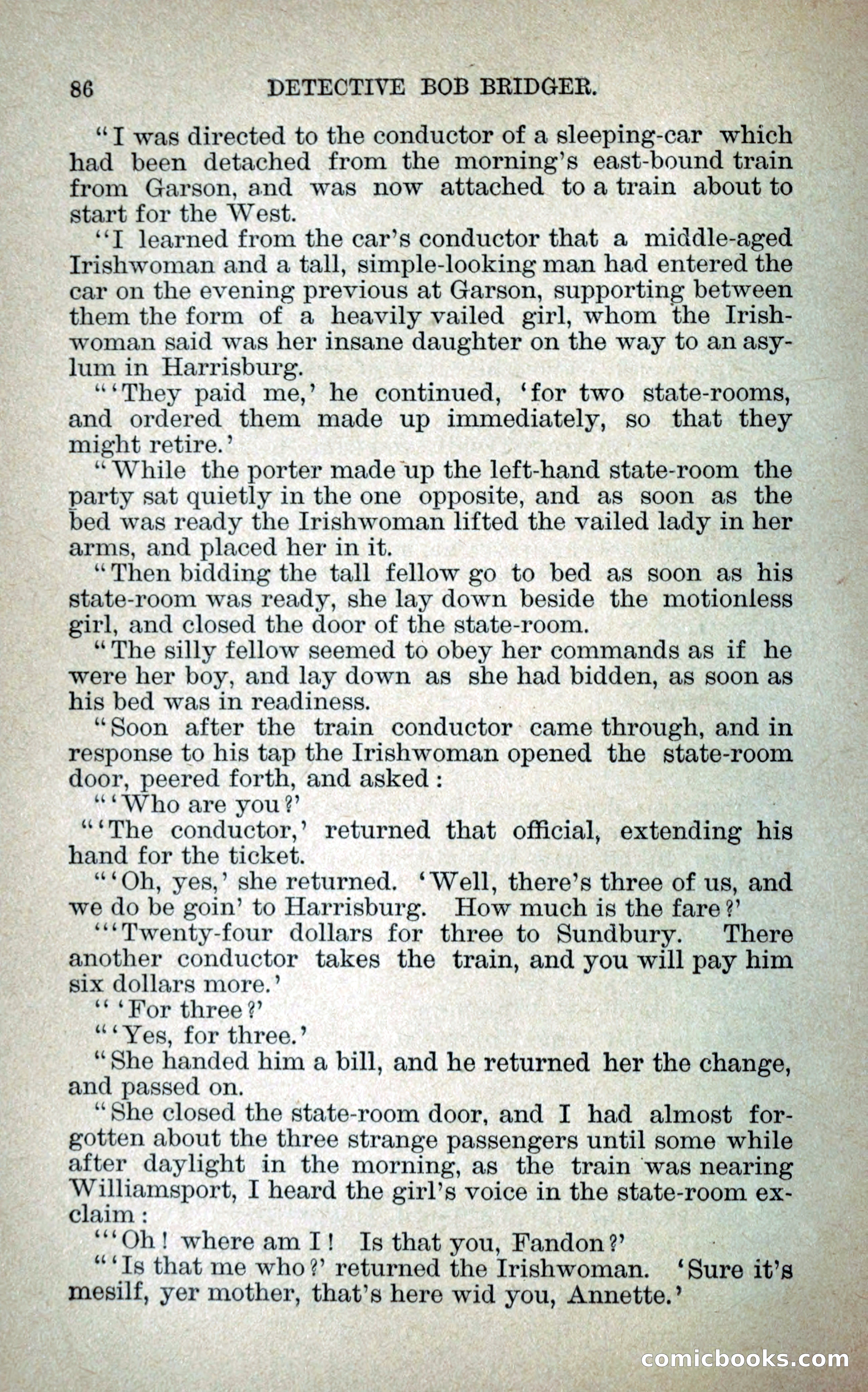 Detective Bob Bridger — page 93 of 263