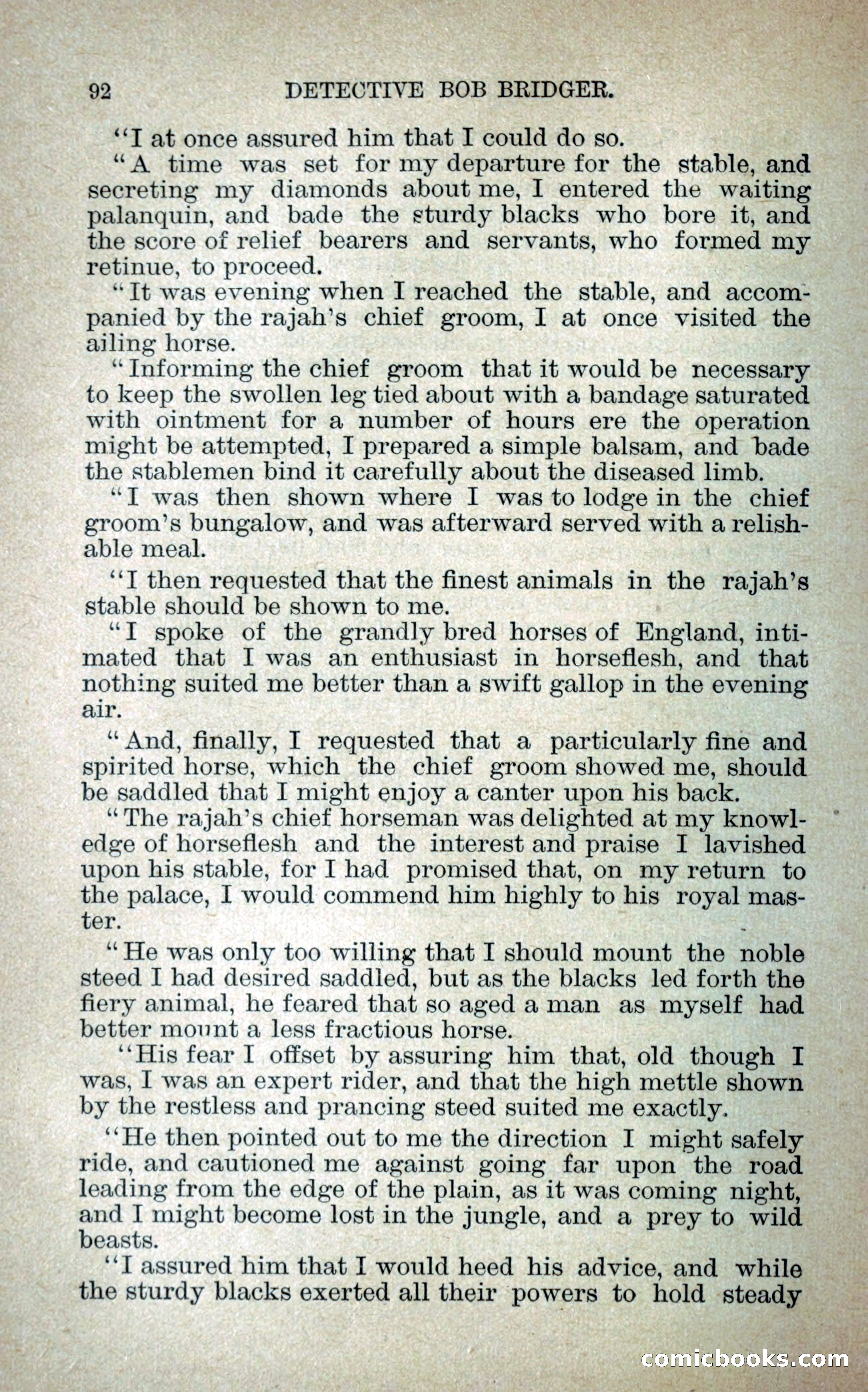 Detective Bob Bridger — page 99 of 263