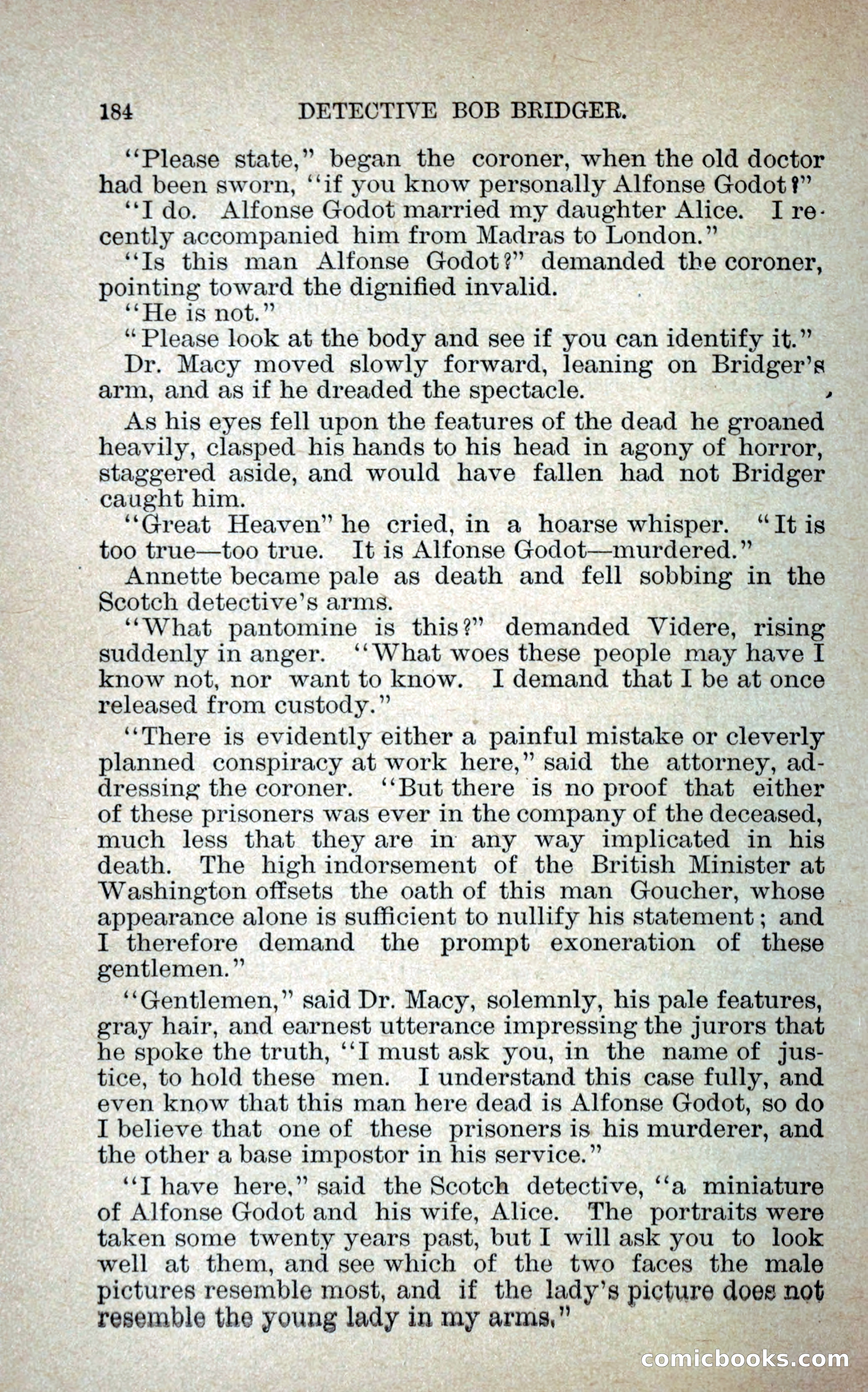 Detective Bob Bridger — page 191 of 263