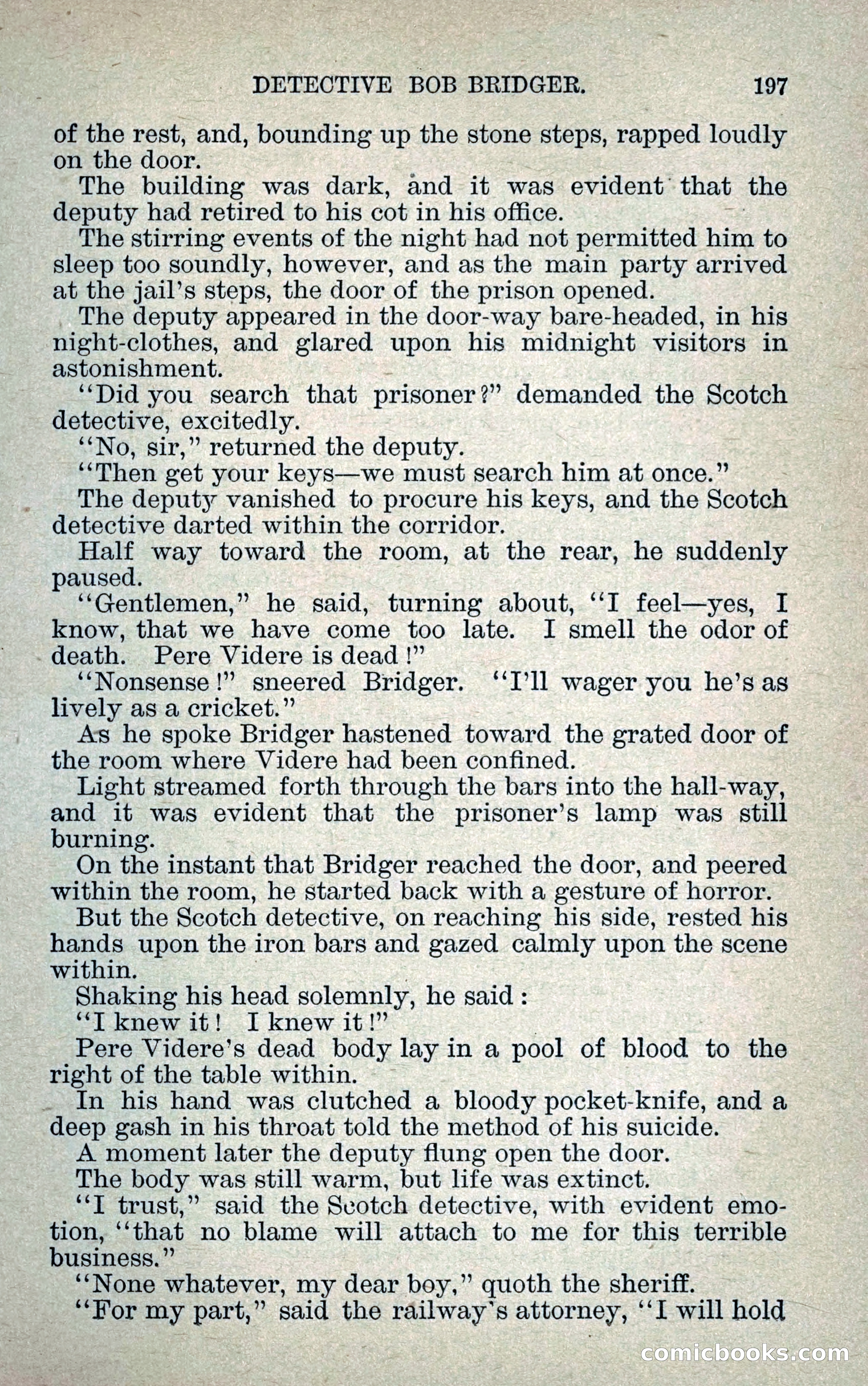 Detective Bob Bridger — page 204 of 263