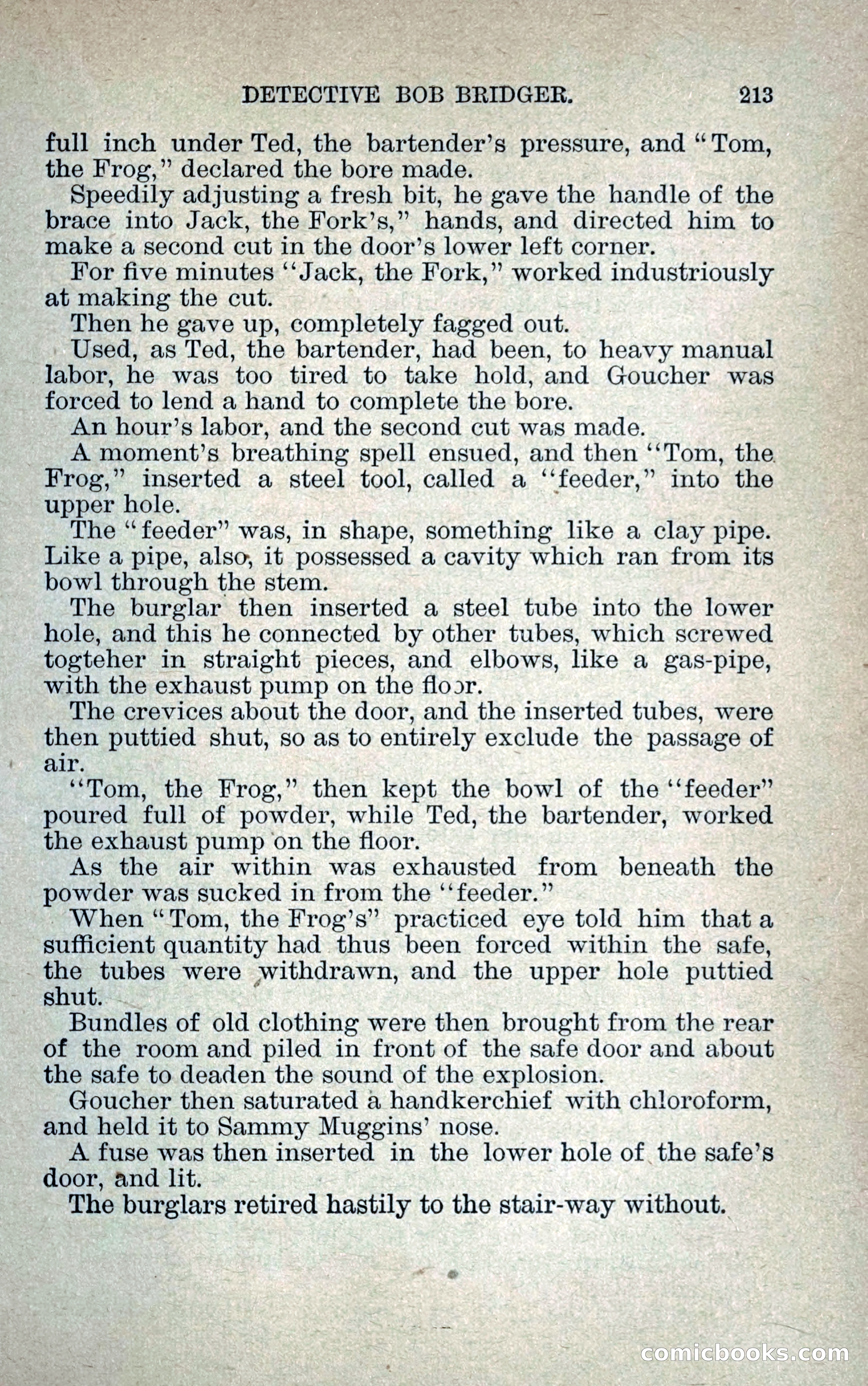 Detective Bob Bridger — page 220 of 263