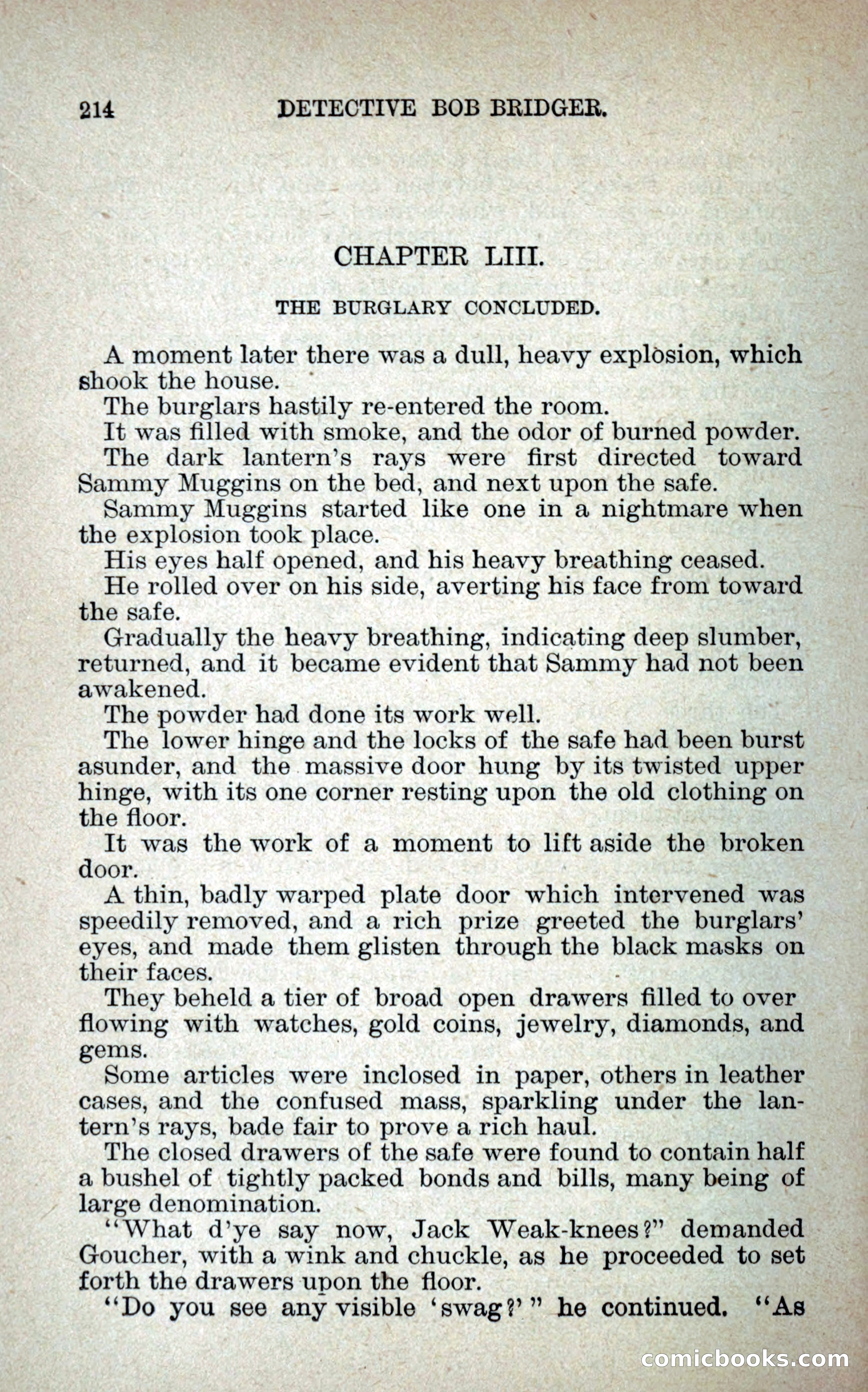 Detective Bob Bridger — page 221 of 263