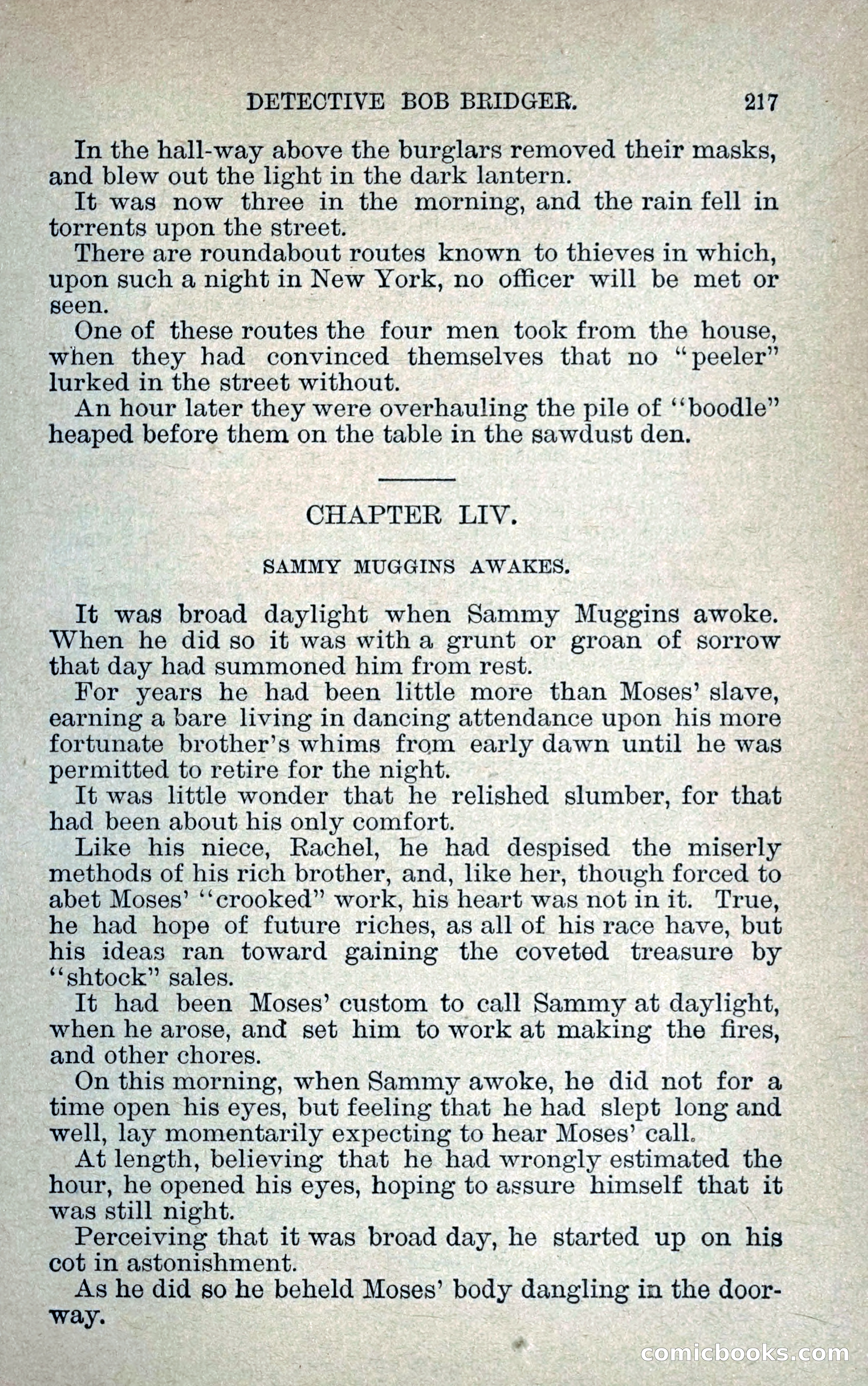 Detective Bob Bridger — page 224 of 263