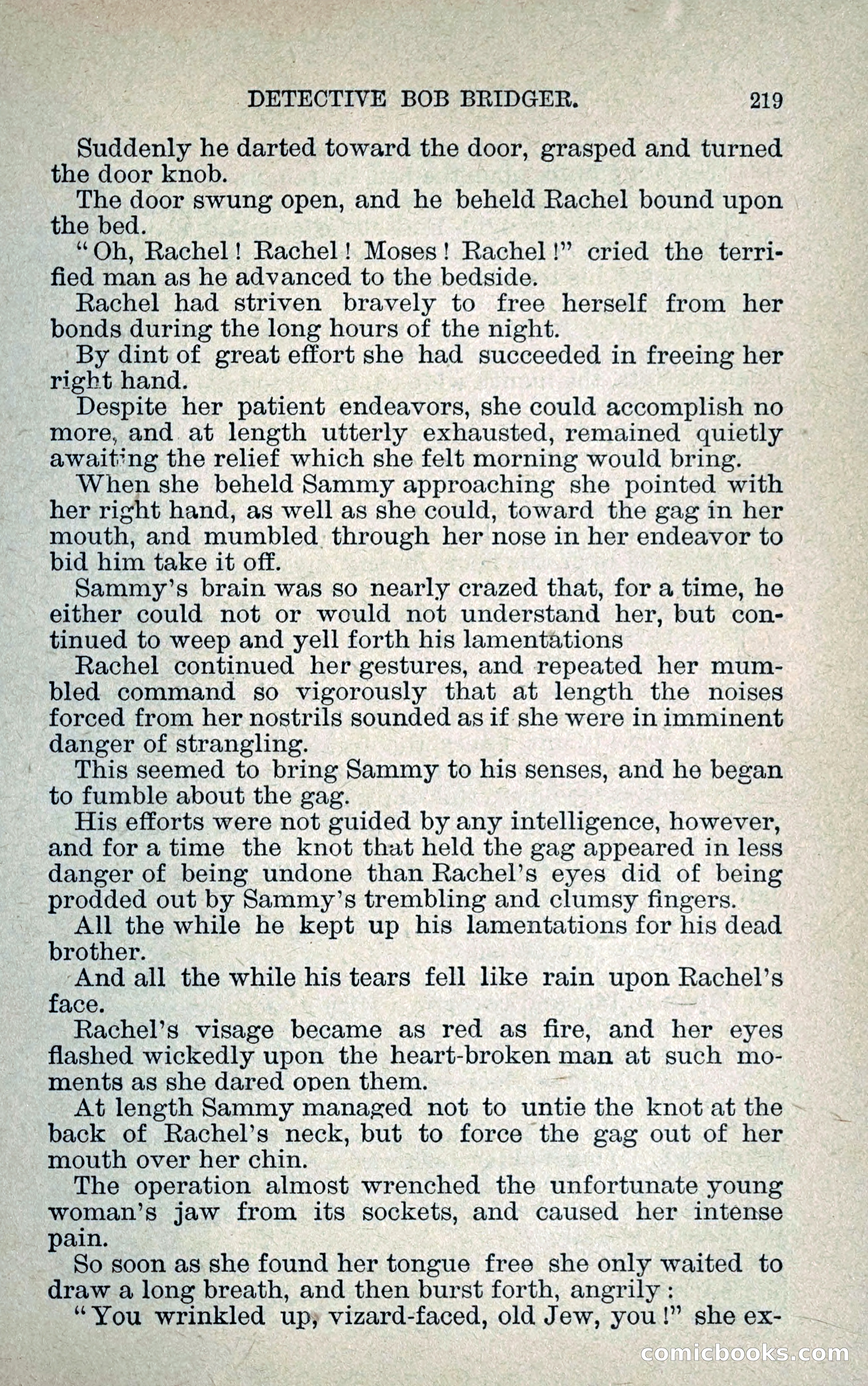 Detective Bob Bridger — page 226 of 263