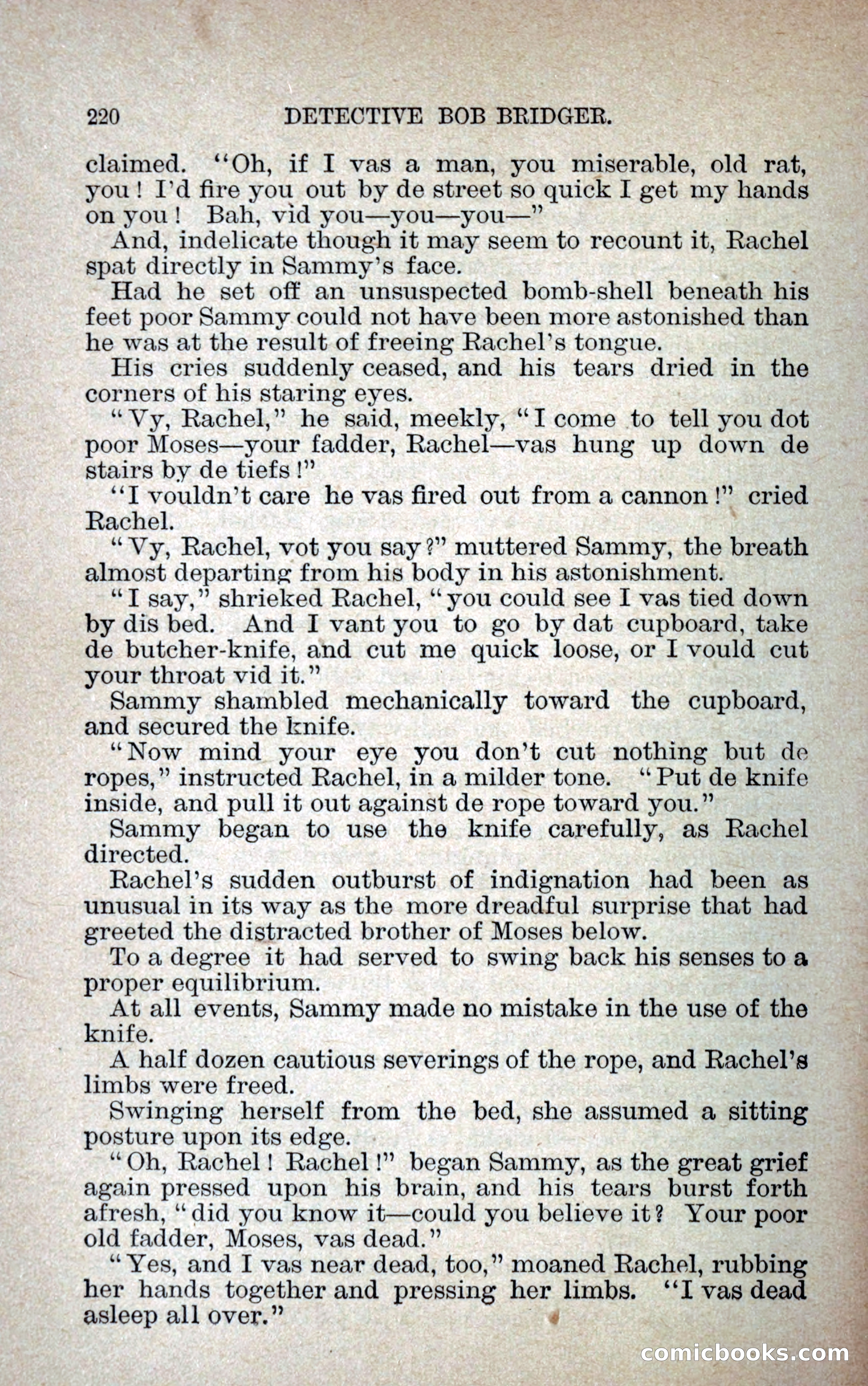 Detective Bob Bridger — page 227 of 263