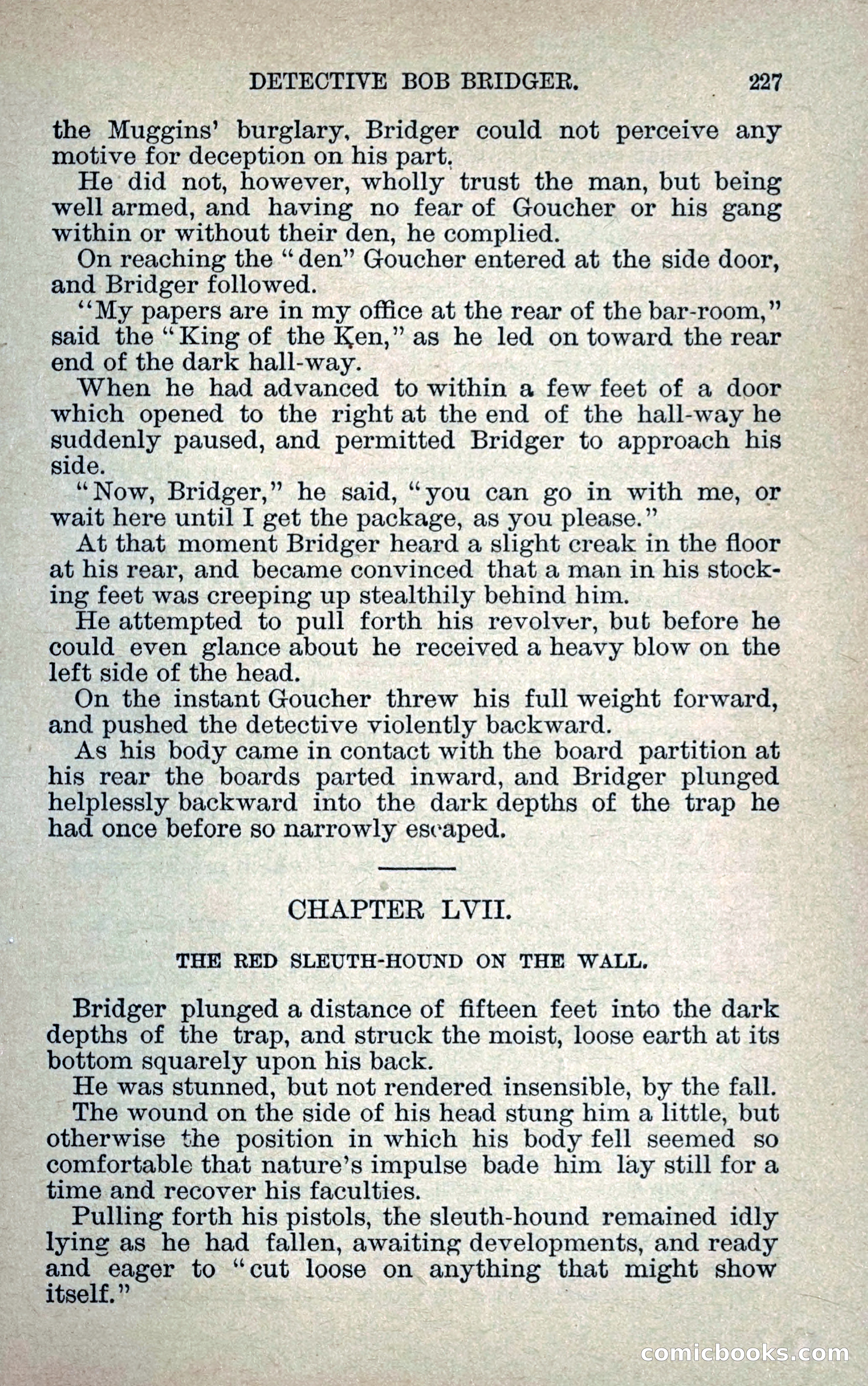 Detective Bob Bridger — page 234 of 263