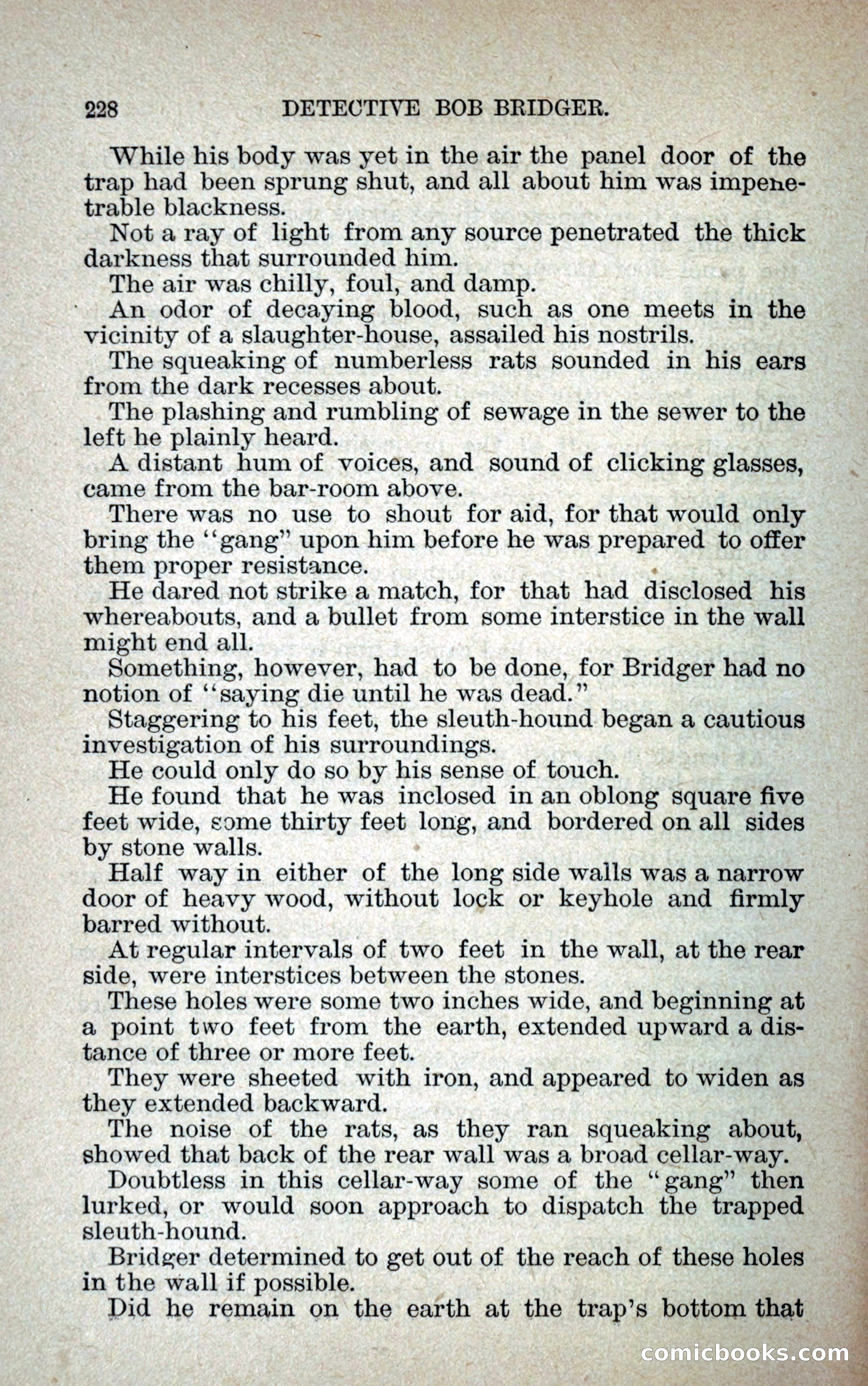 Detective Bob Bridger — page 235 of 263