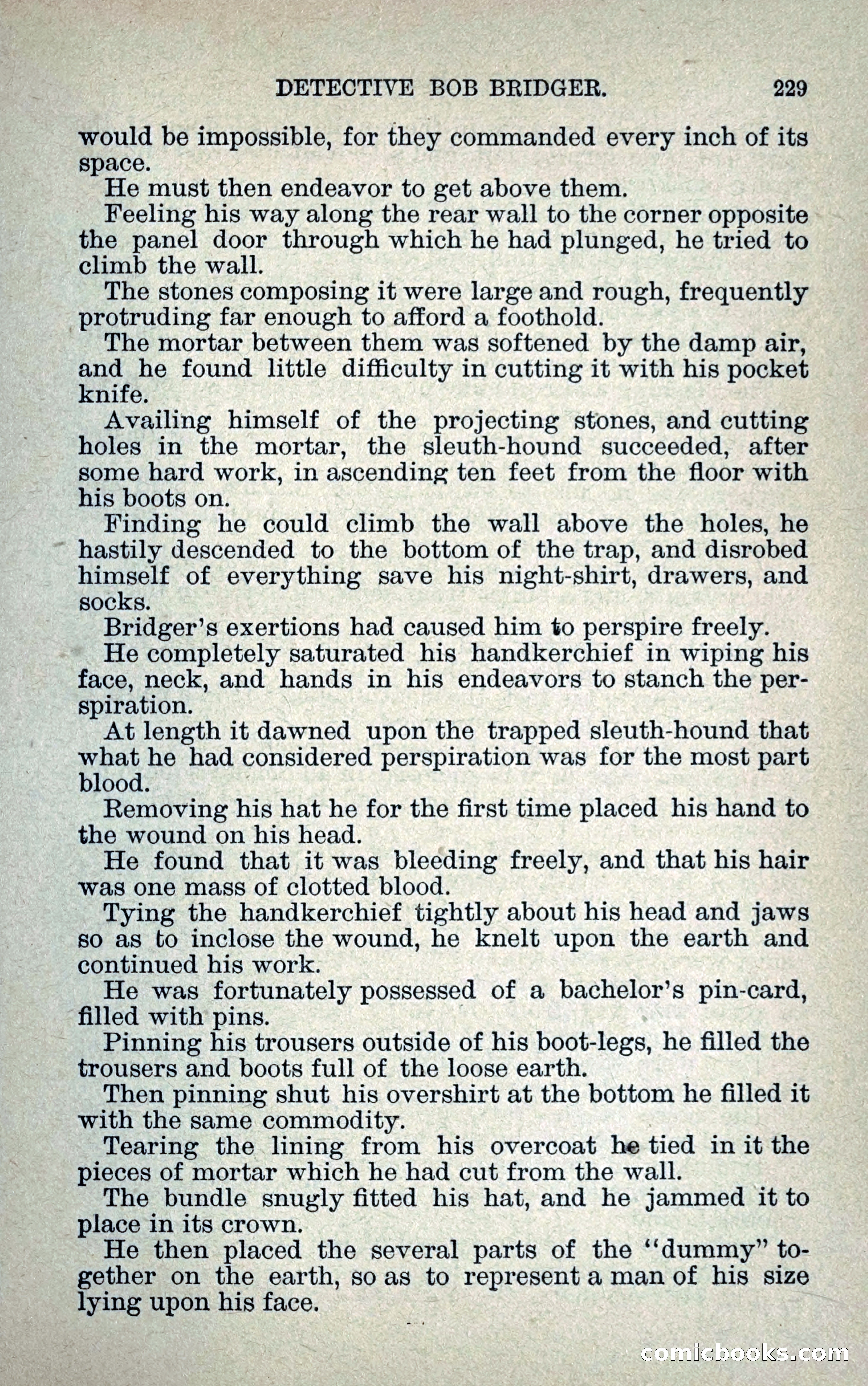 Detective Bob Bridger — page 236 of 263