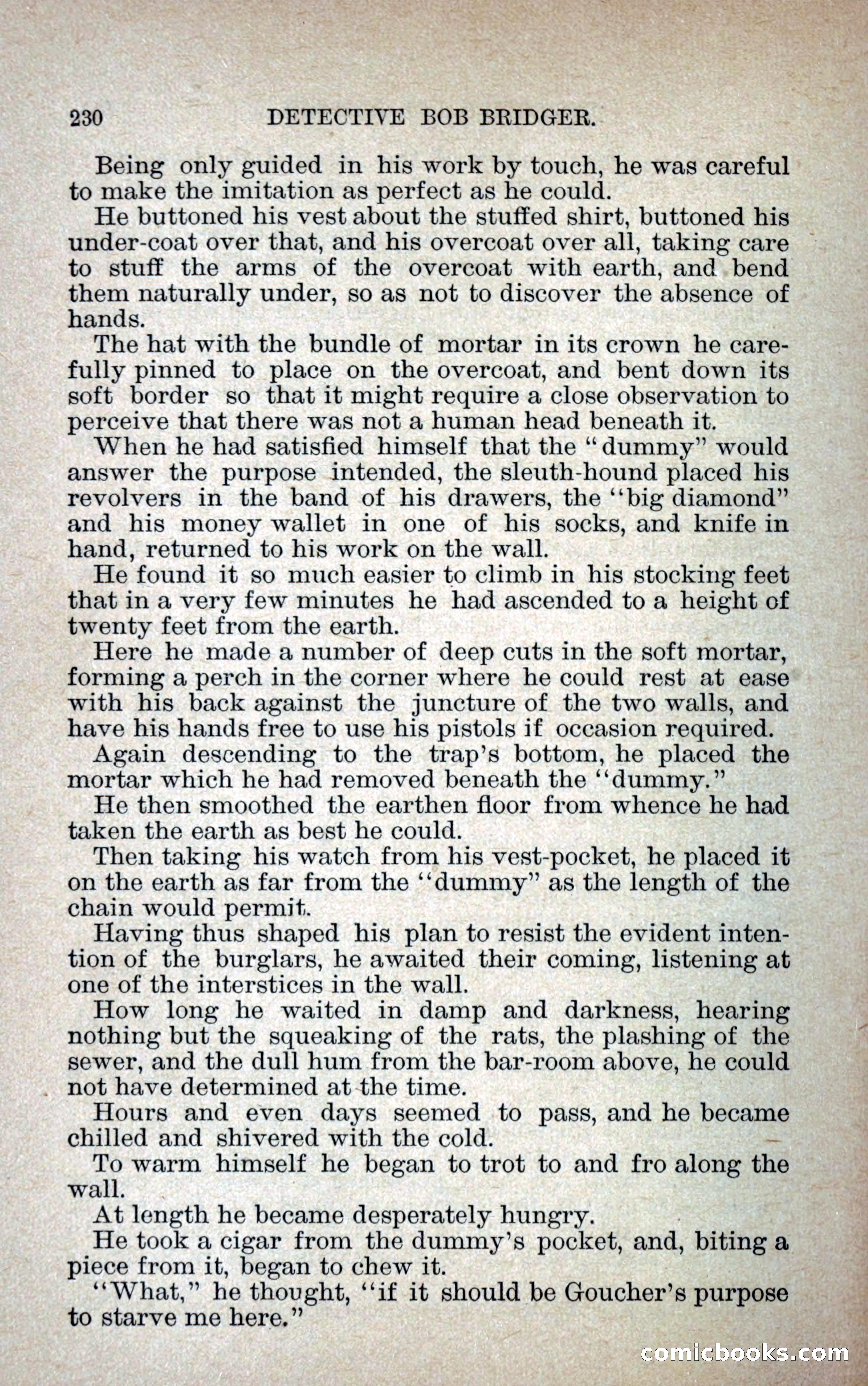 Detective Bob Bridger — page 237 of 263