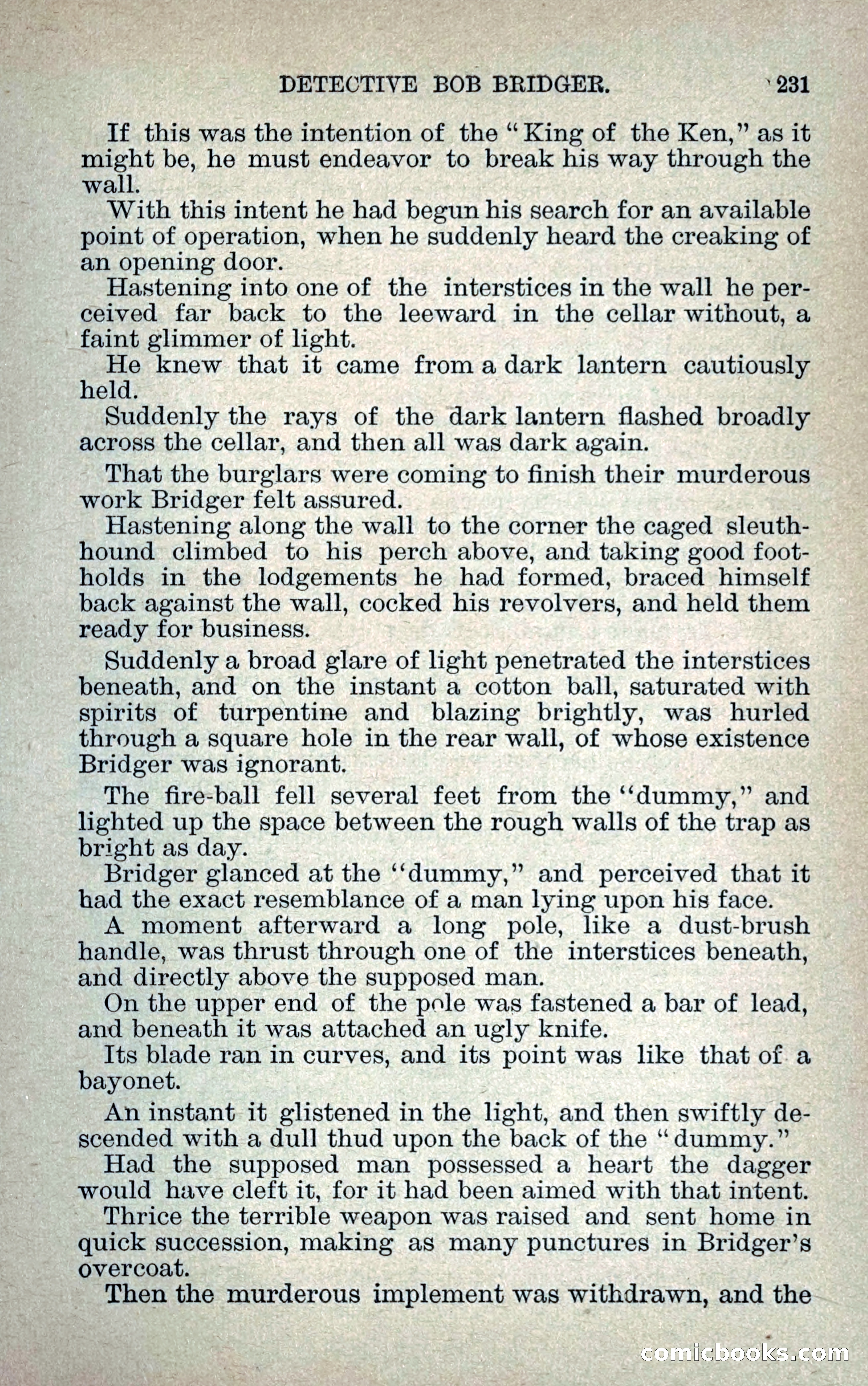 Detective Bob Bridger — page 238 of 263