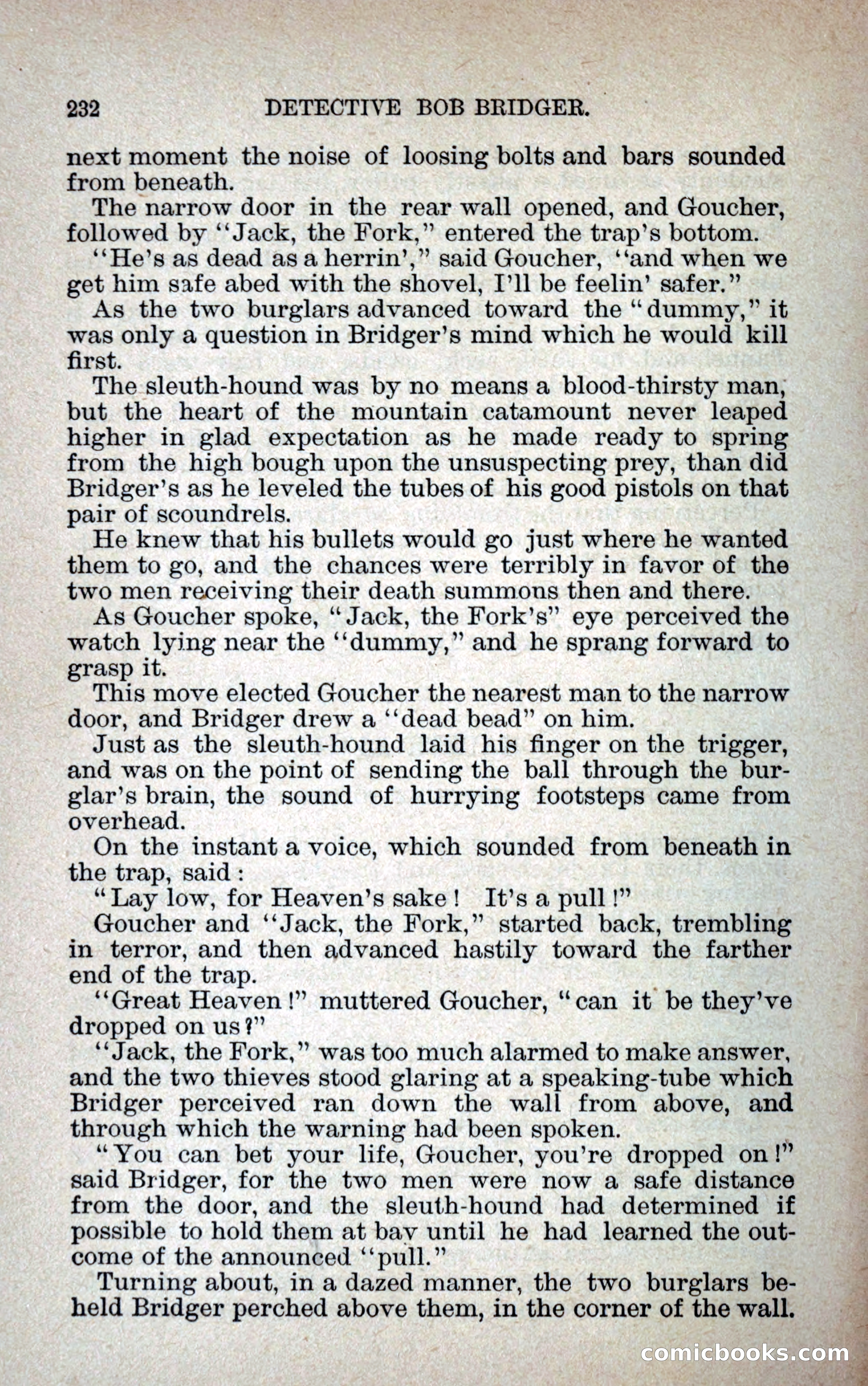 Detective Bob Bridger — page 239 of 263