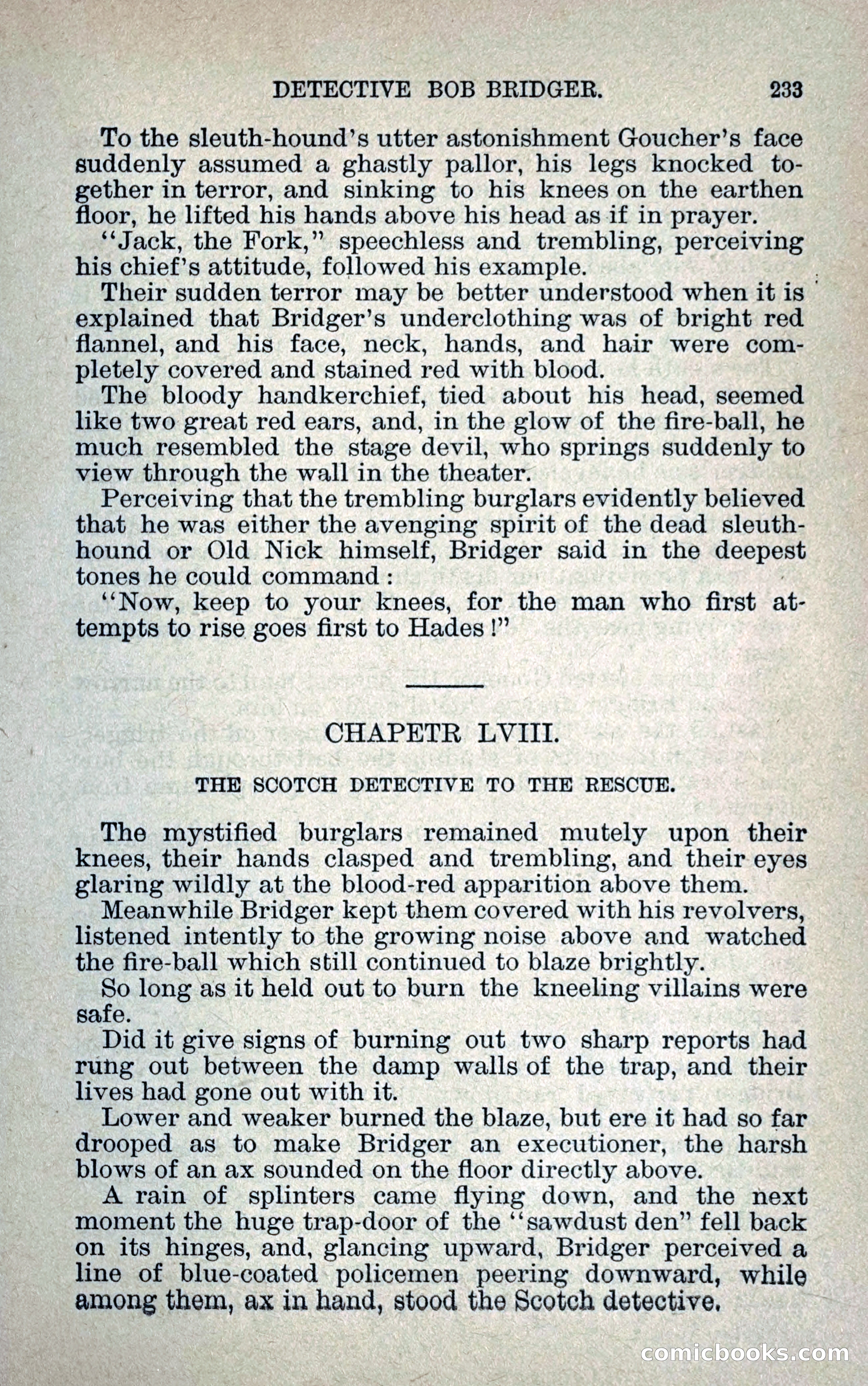 Detective Bob Bridger — page 240 of 263